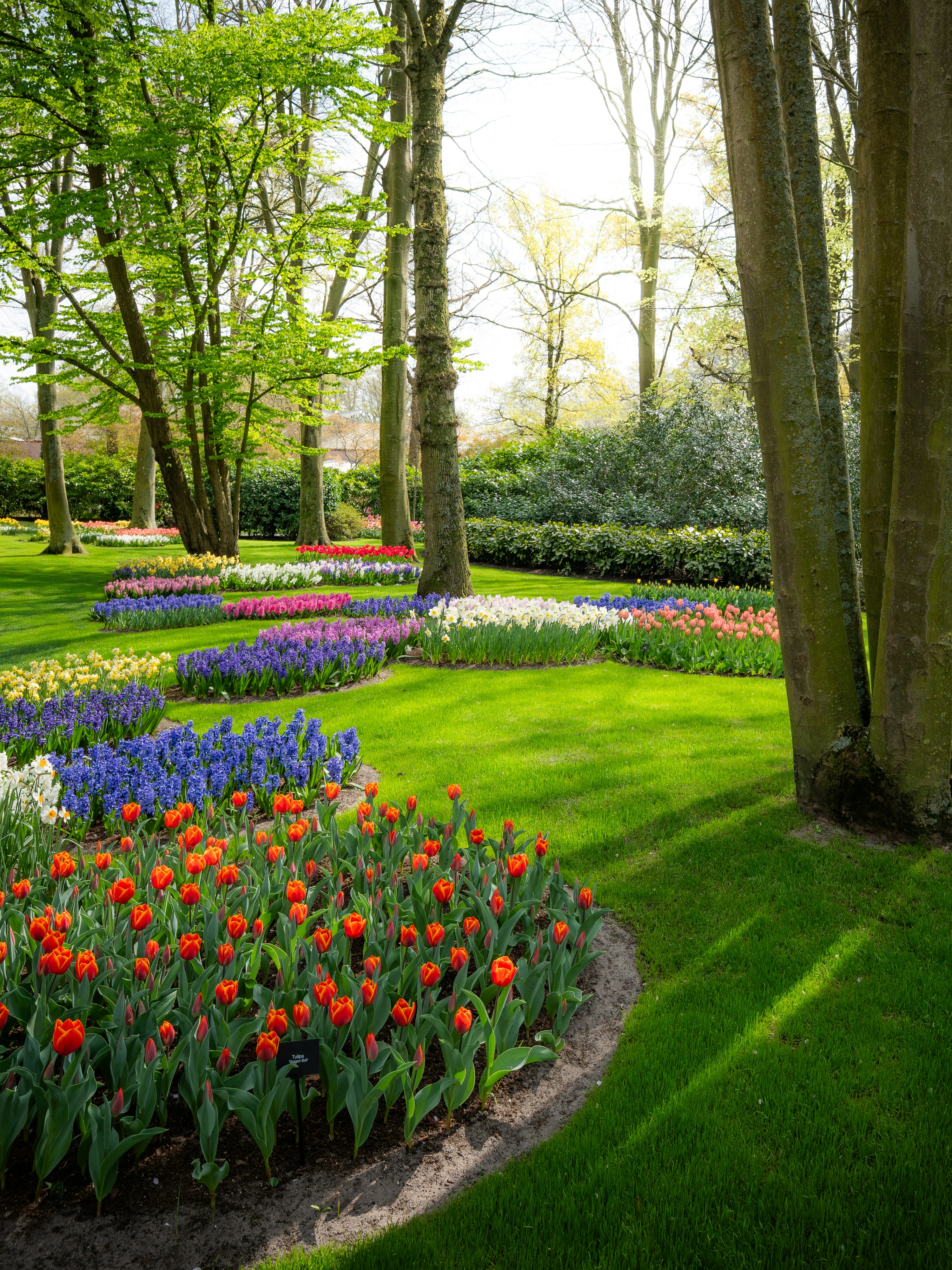 Photo by eliasderksen_photos