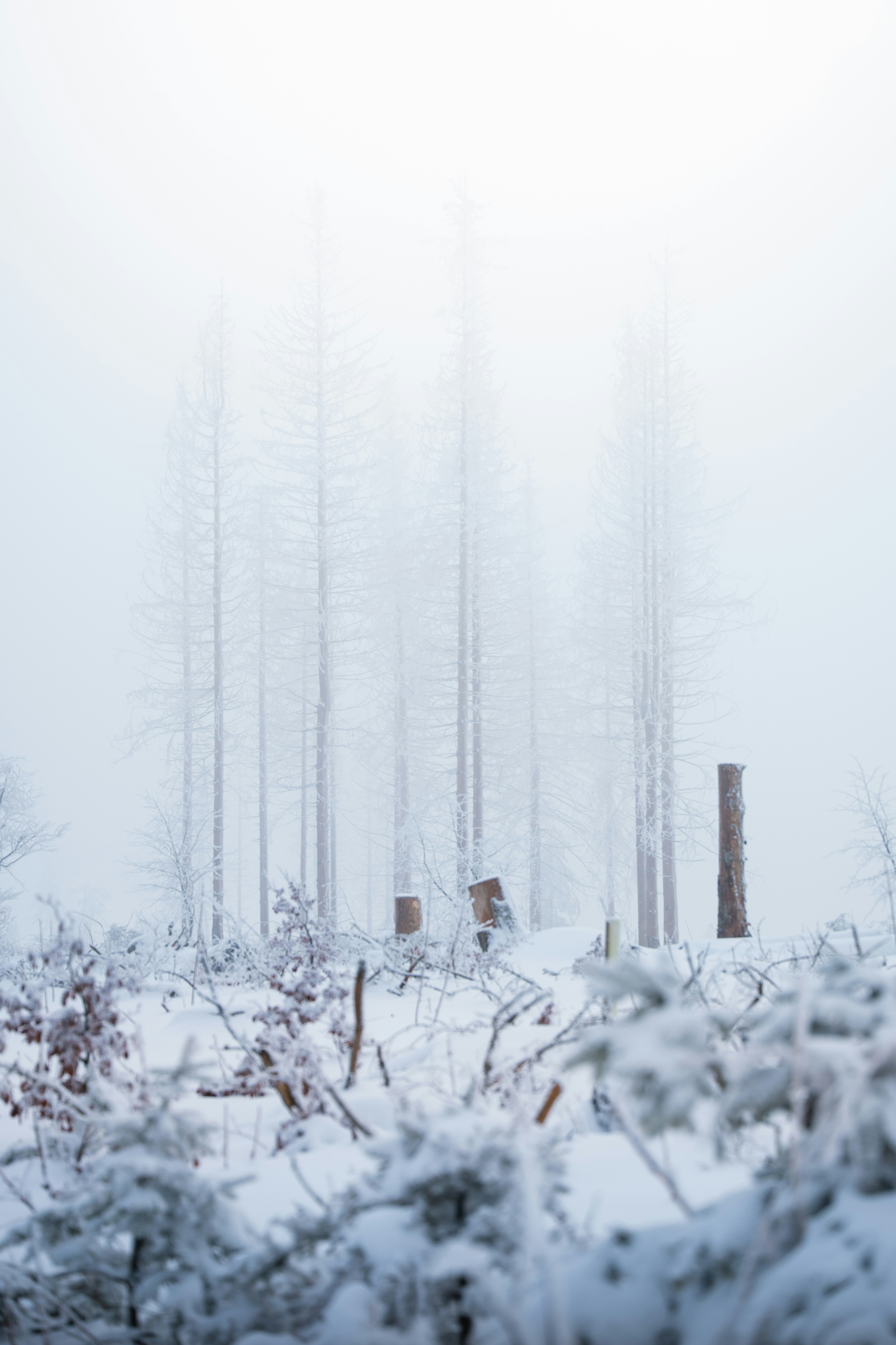 Photo by eliasderksen_photos