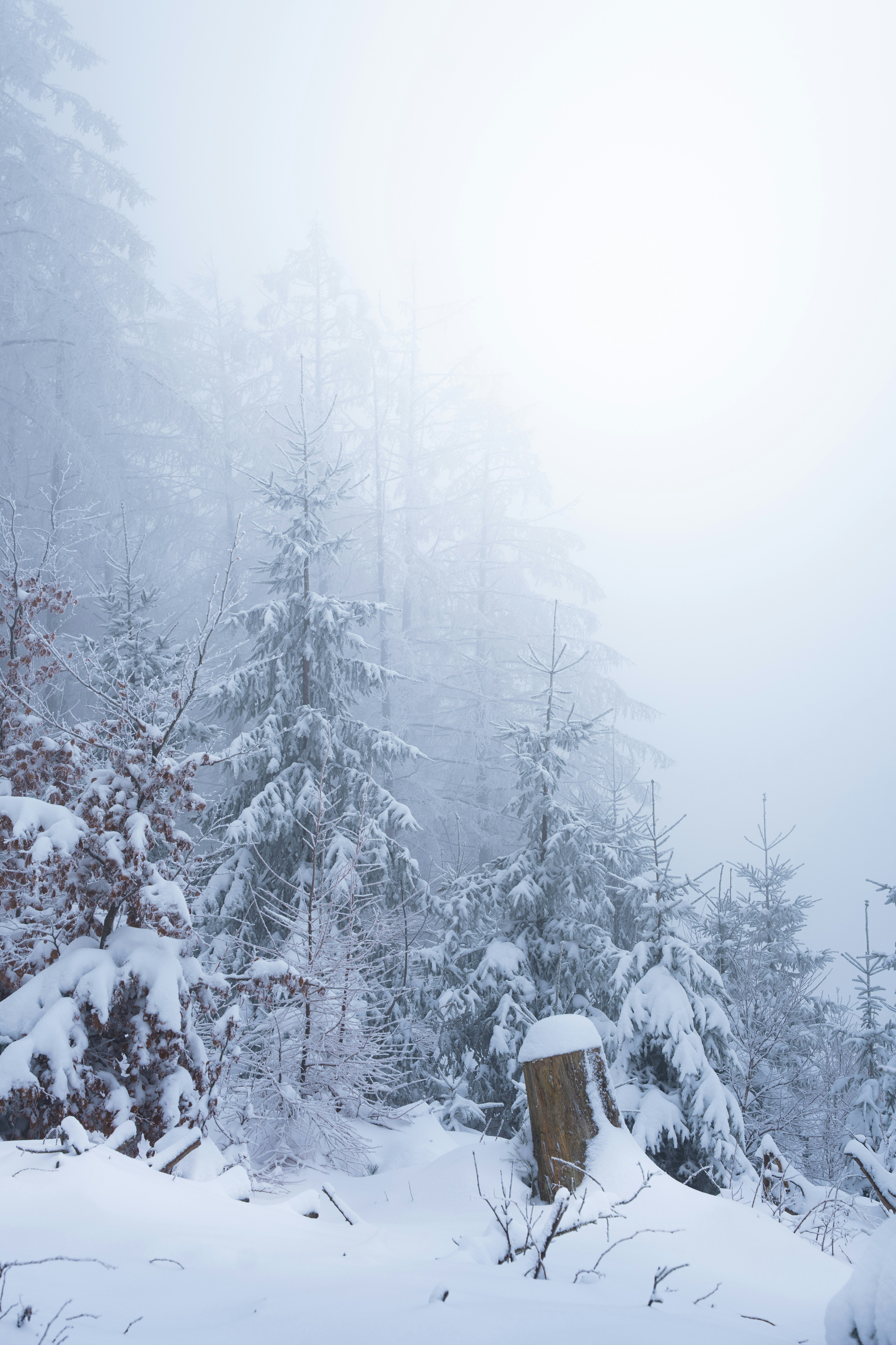 Photo by eliasderksen_photos