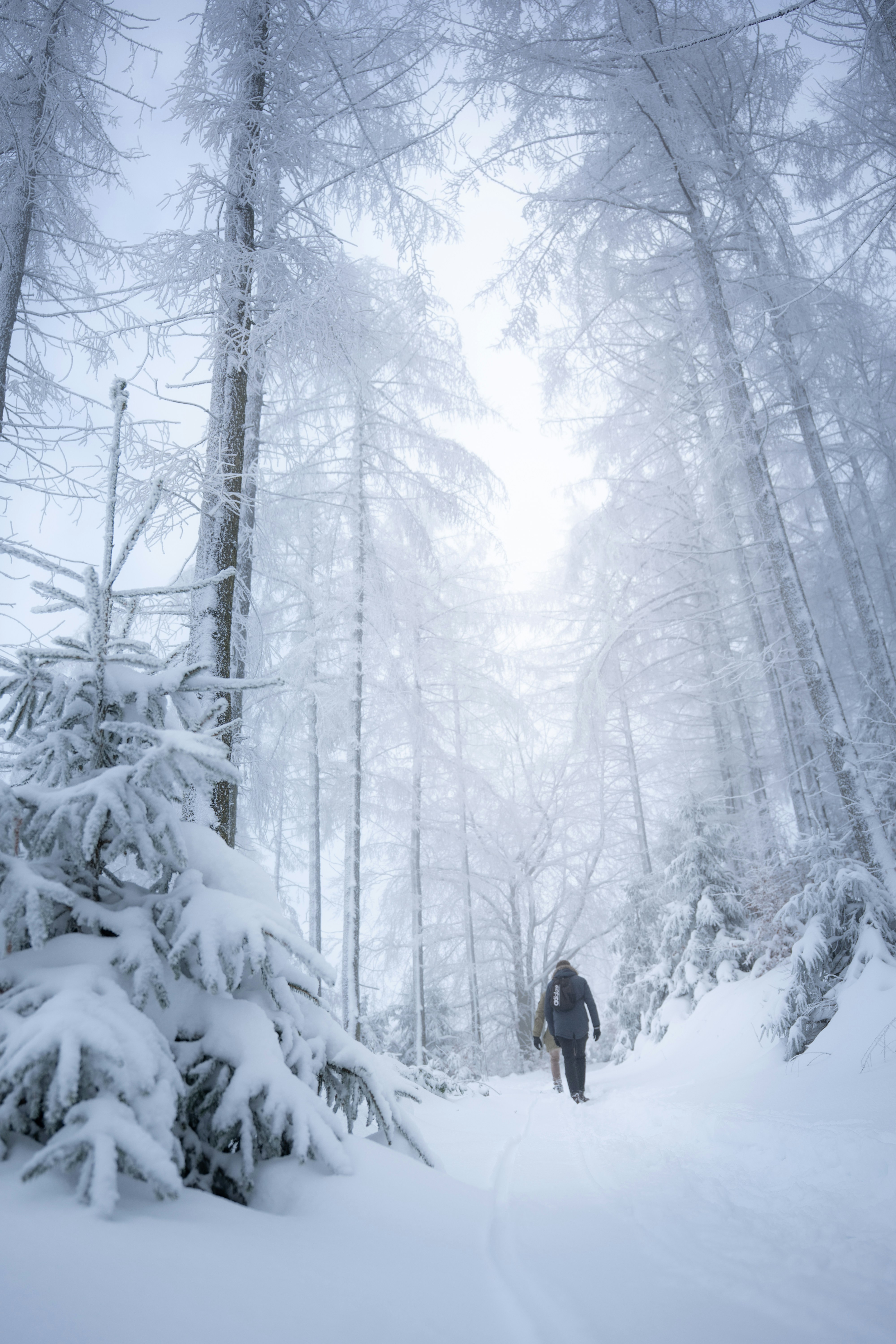 Photo by eliasderksen_photos