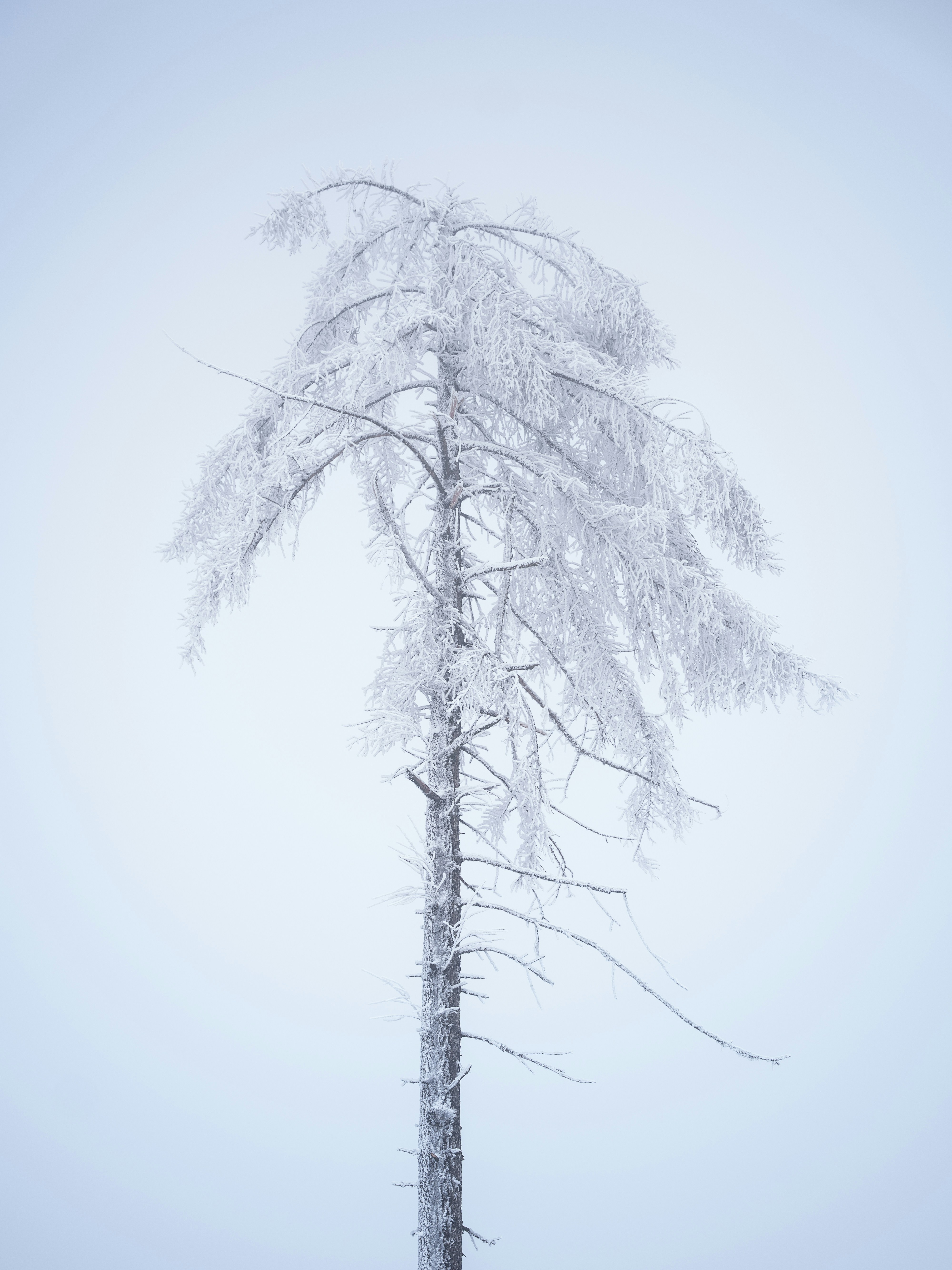 Photo by eliasderksen_photos