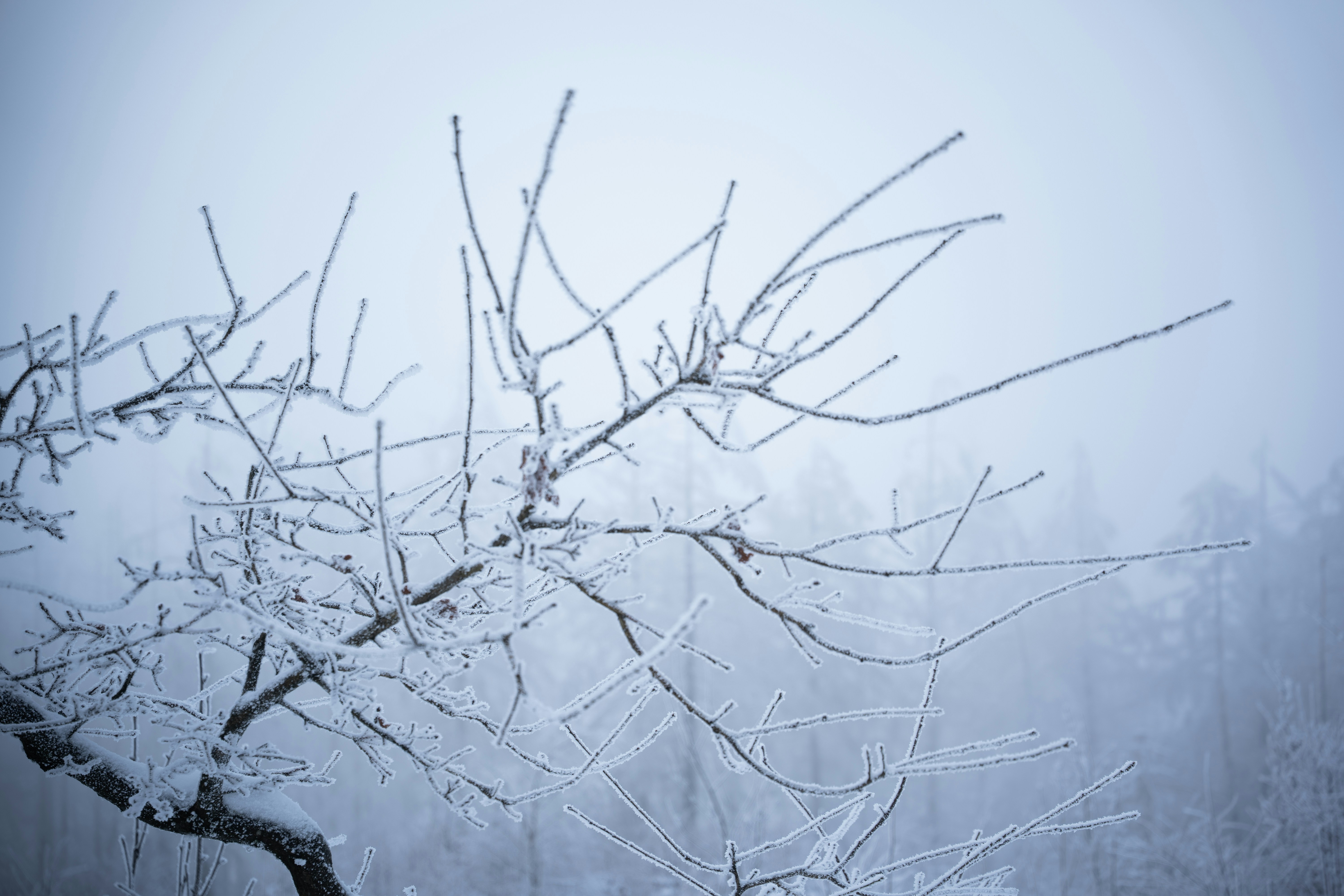 Photo by eliasderksen_photos