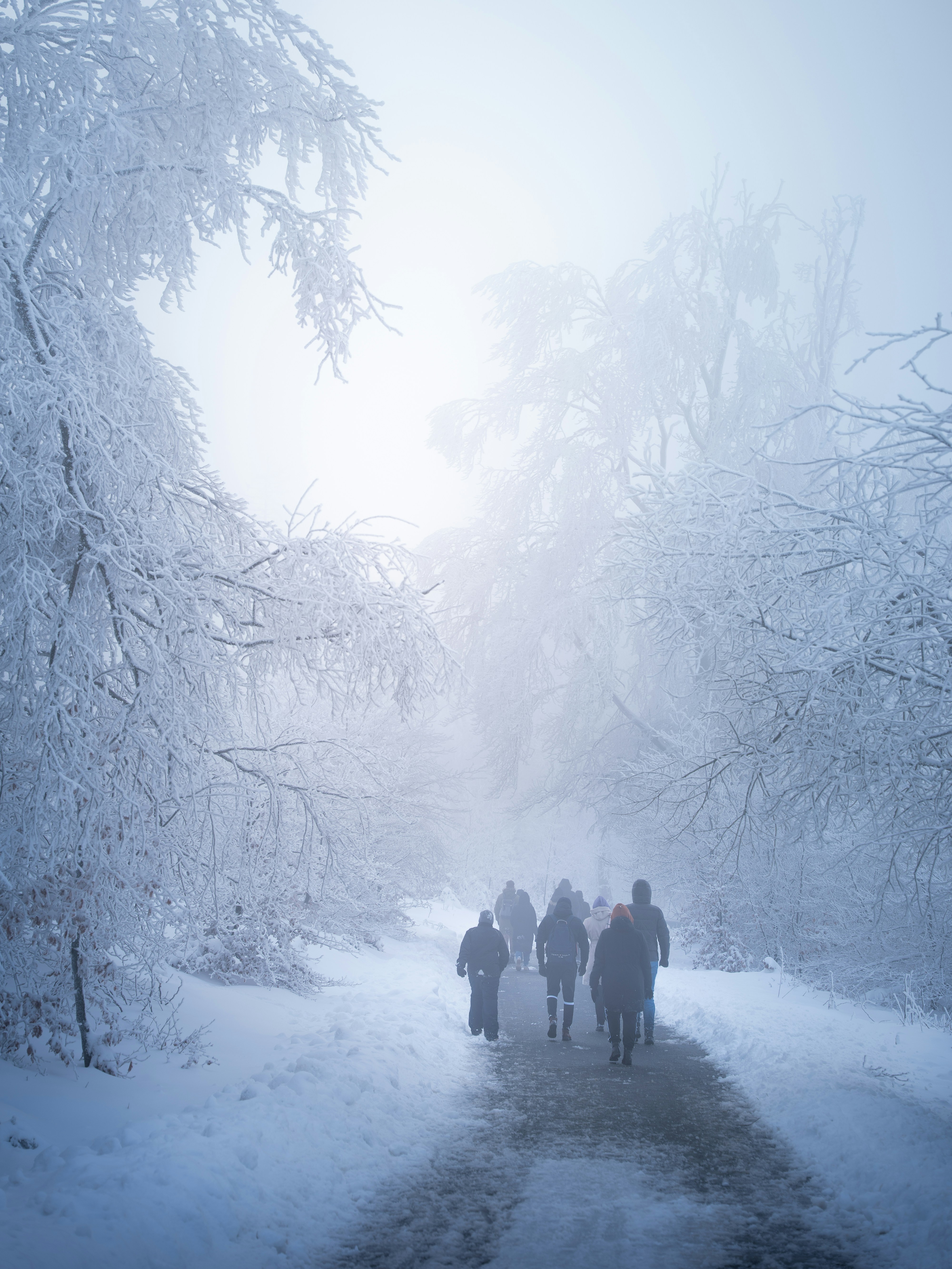 Photo by eliasderksen_photos