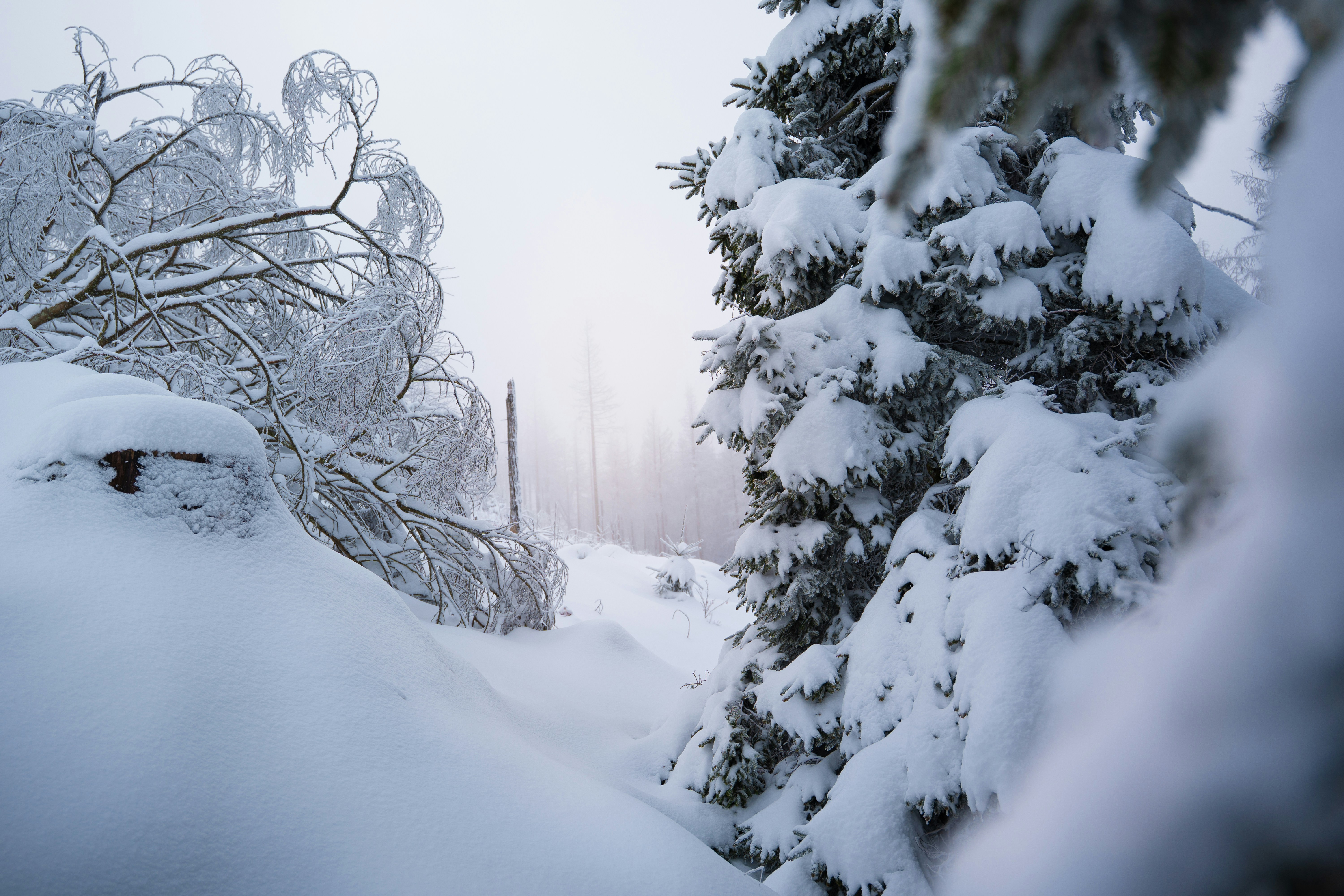 Photo by eliasderksen_photos