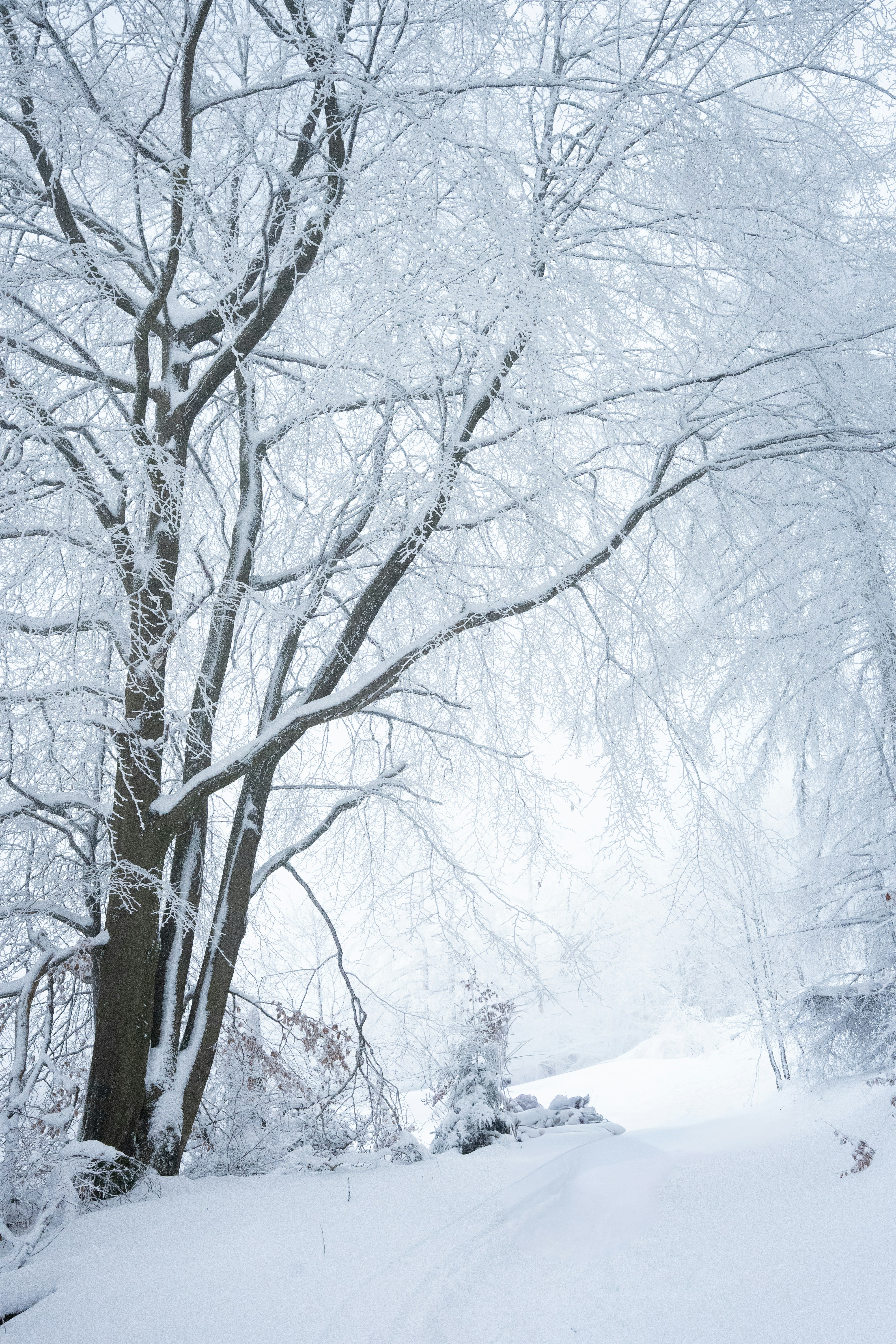 Photo by eliasderksen_photos