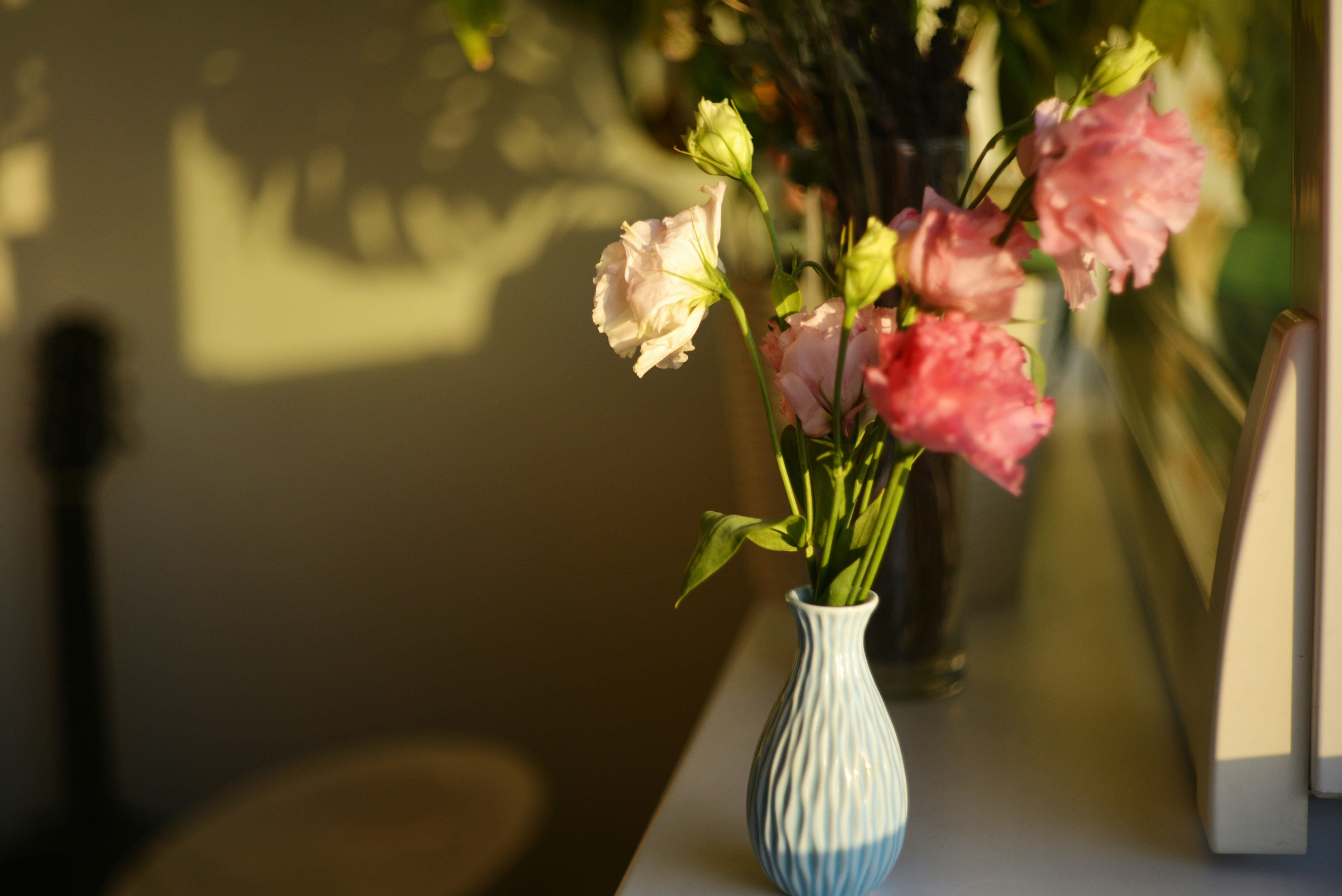 Photo by cherstve_pechivo