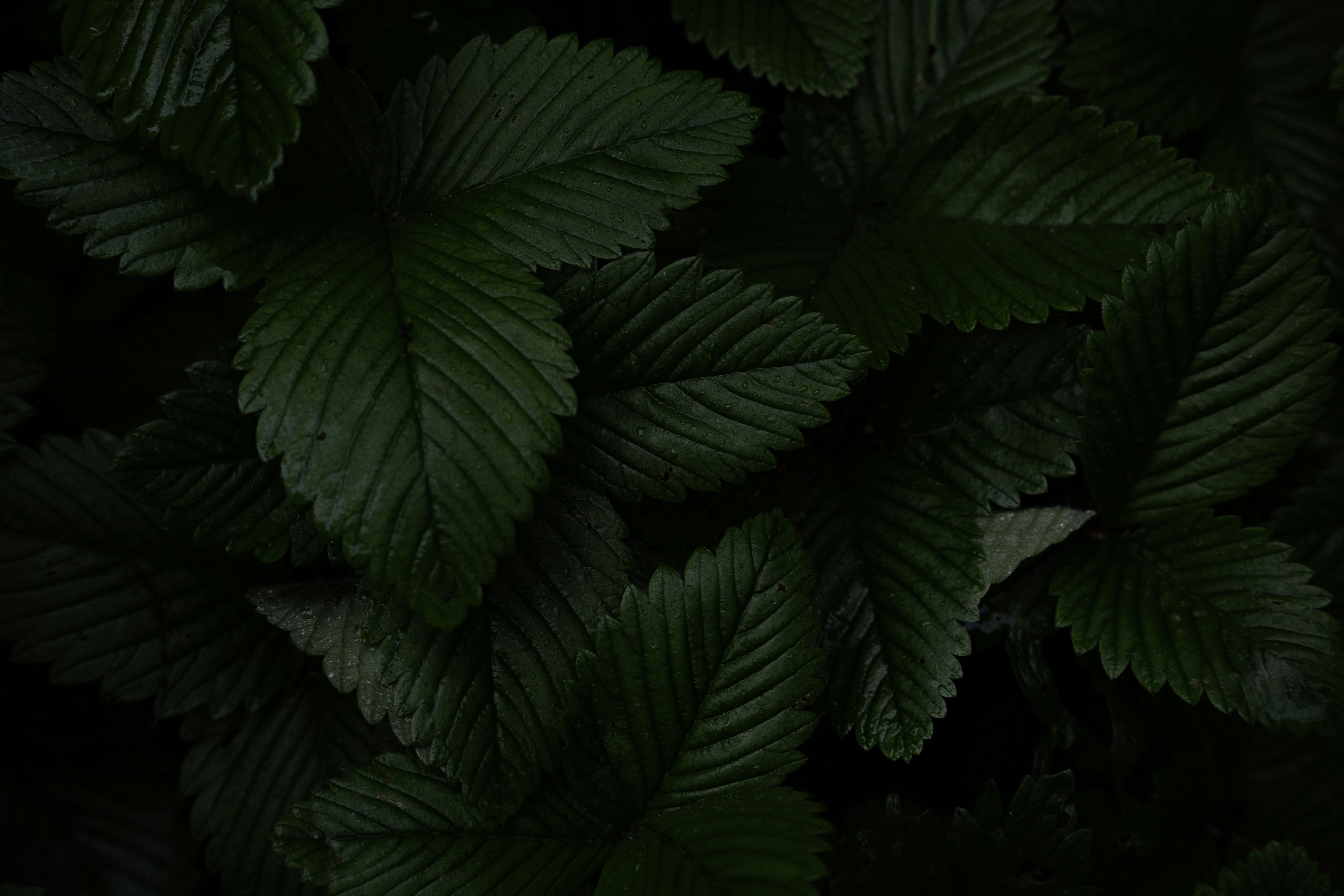 Photo by eliasderksen_photos