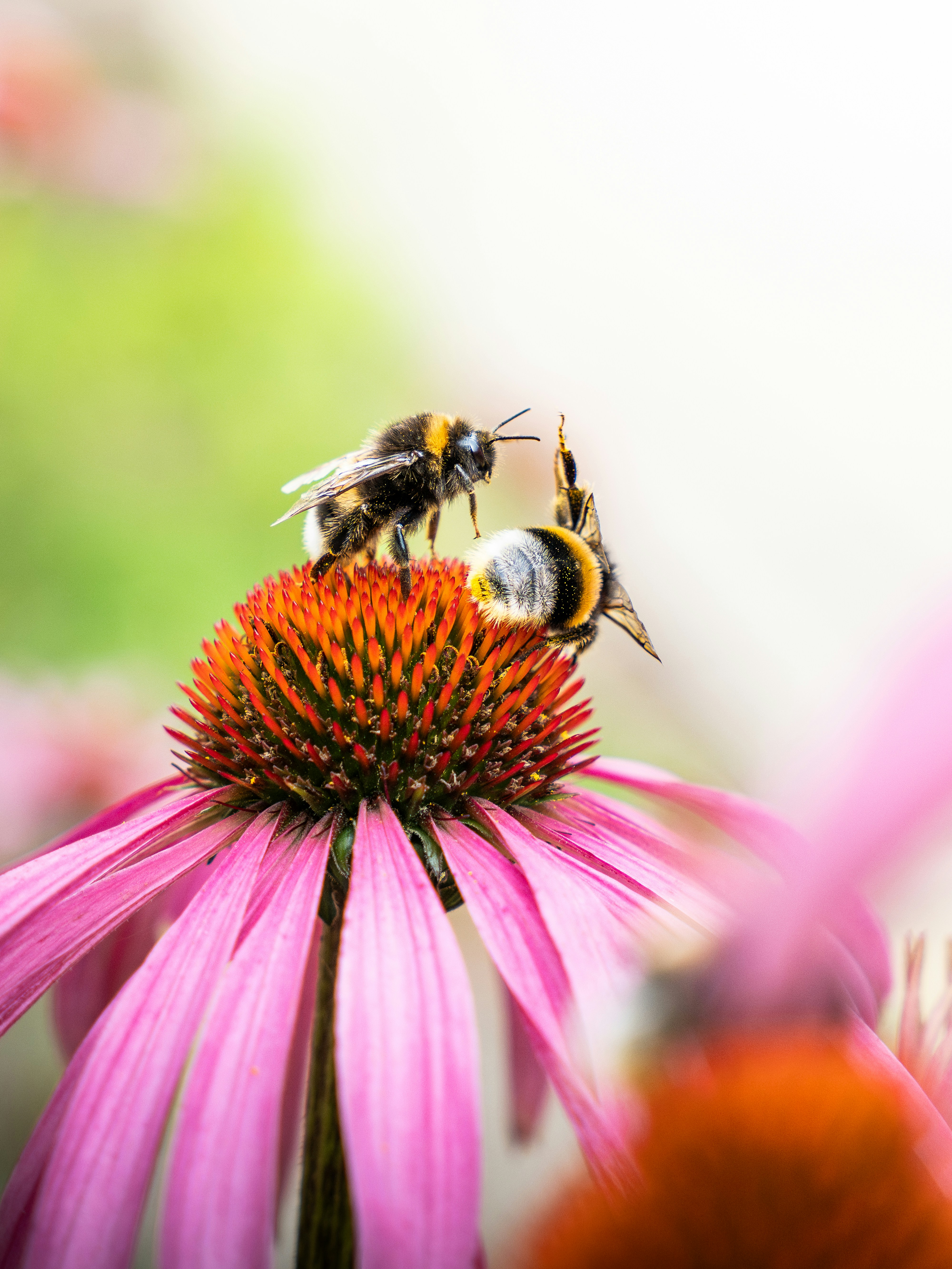 Photo by eliasderksen_photos