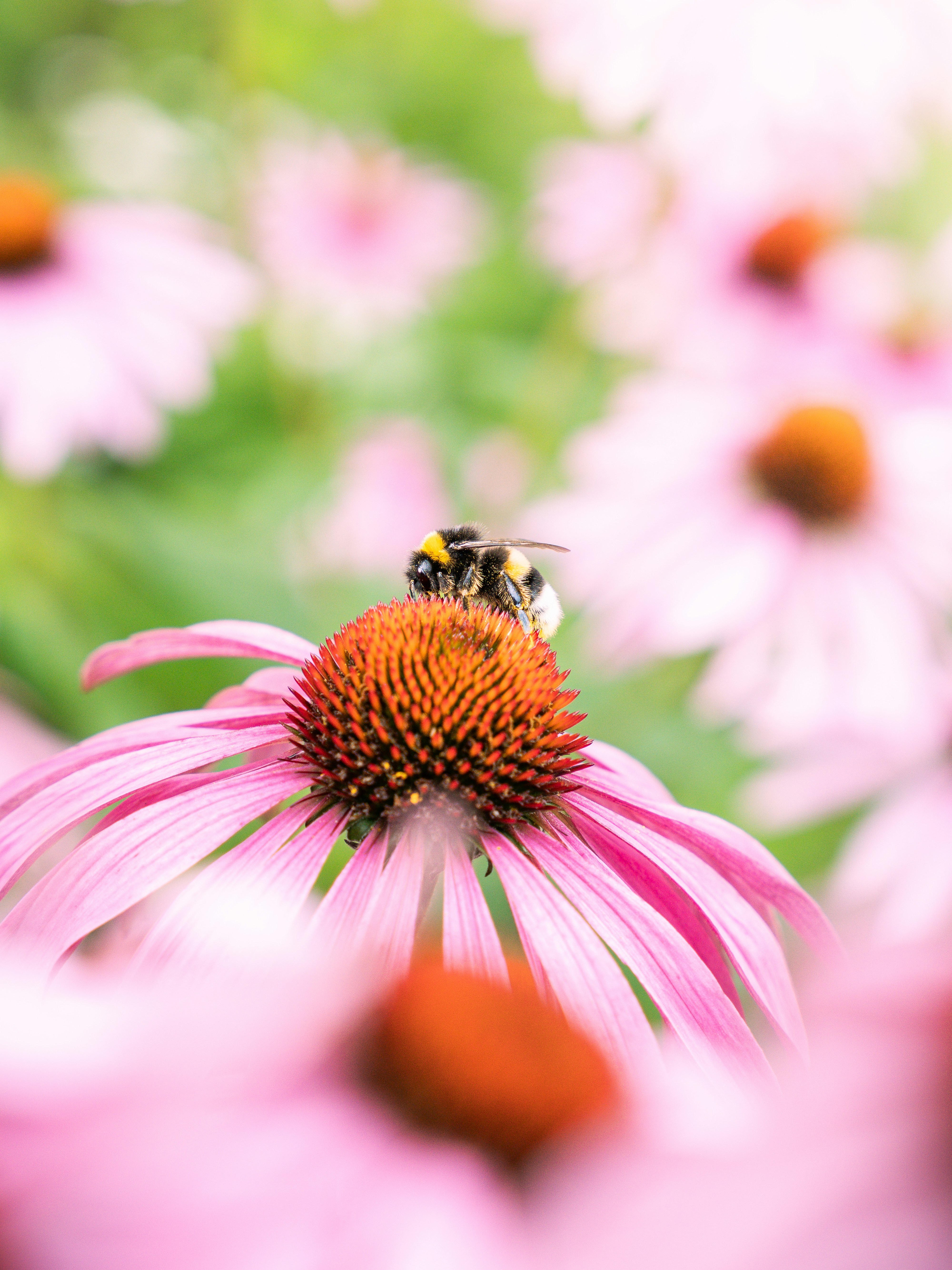 Photo by eliasderksen_photos