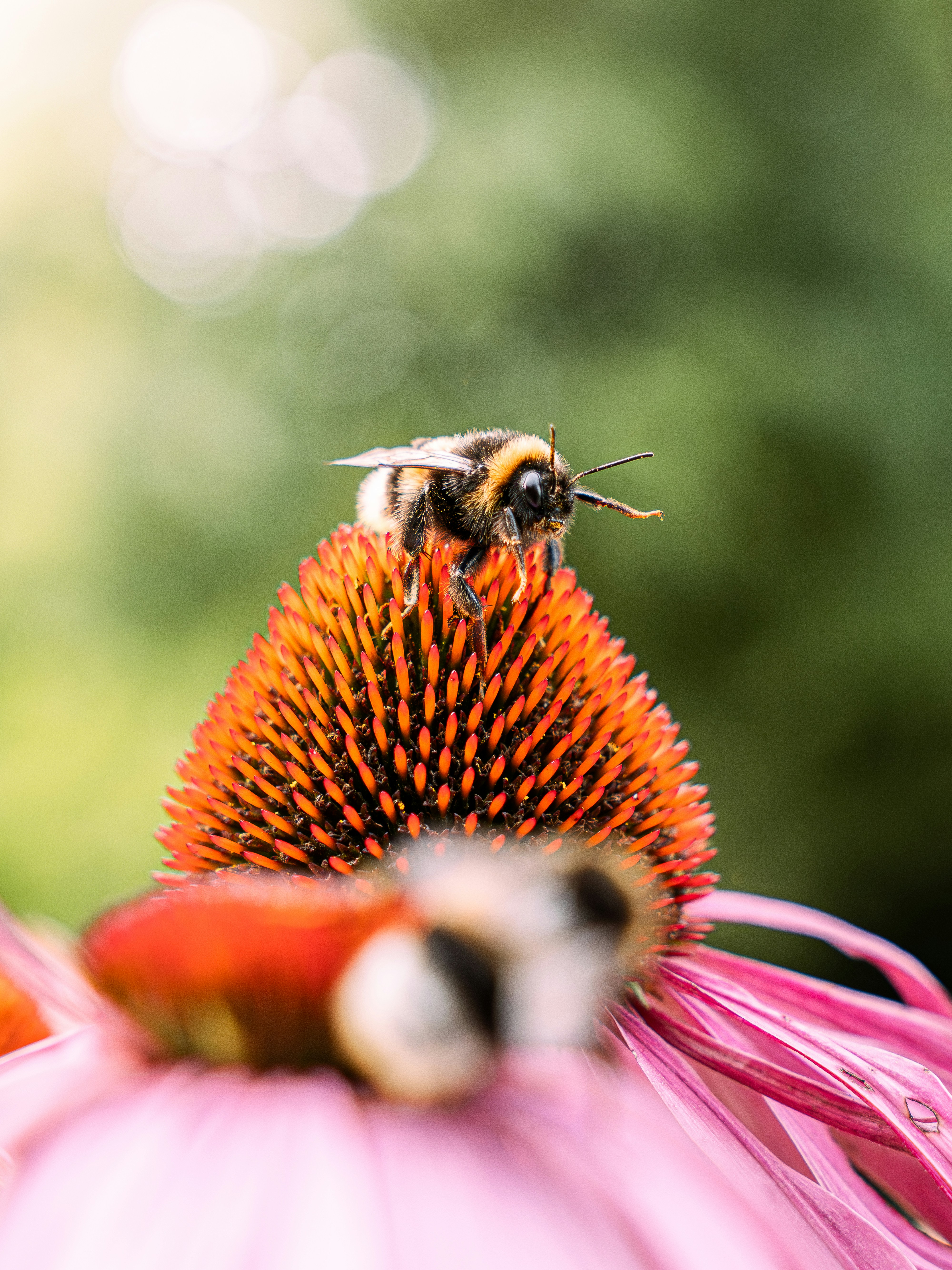 Photo by eliasderksen_photos