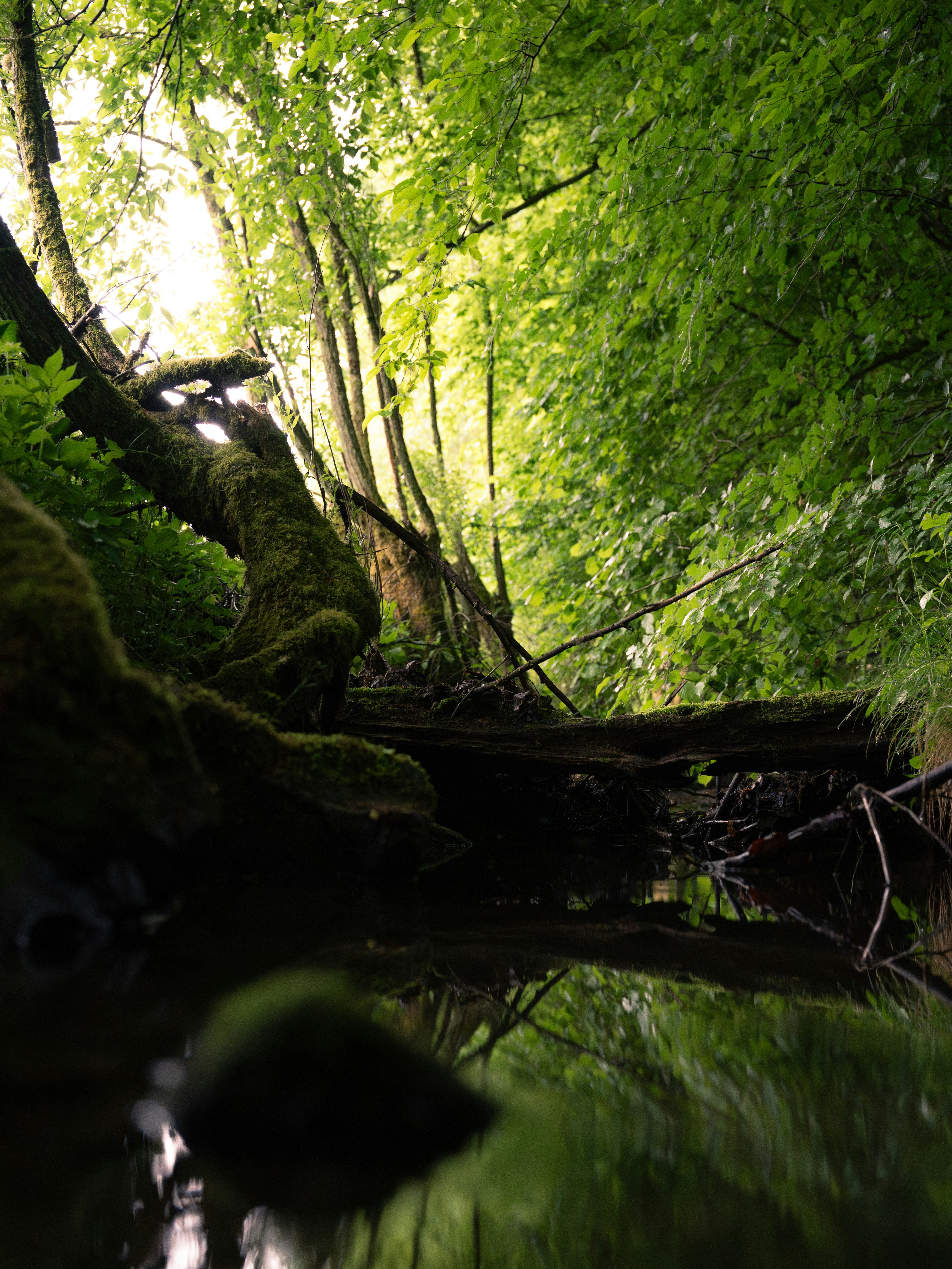 Photo by eliasderksen_photos