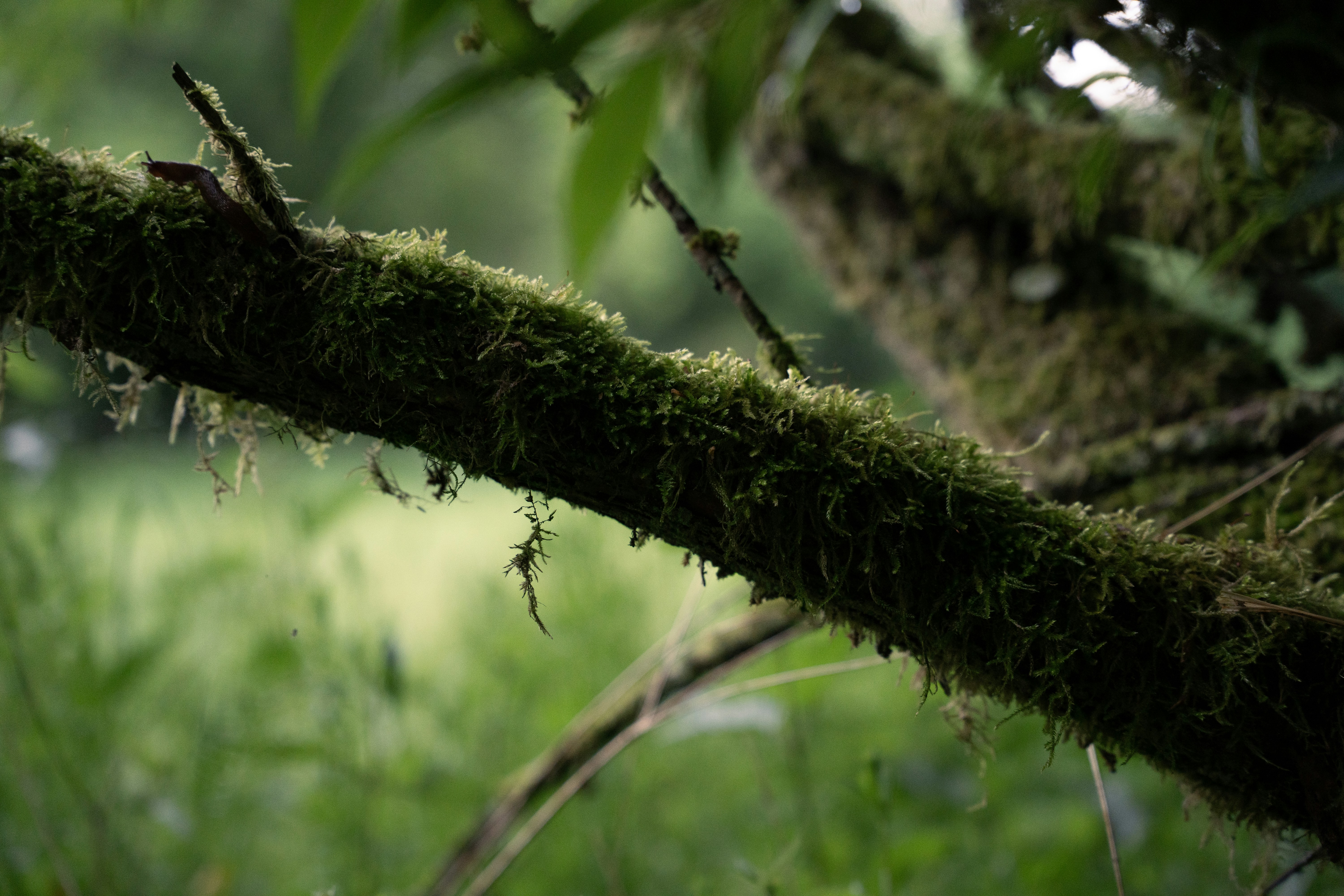 Photo by eliasderksen_photos