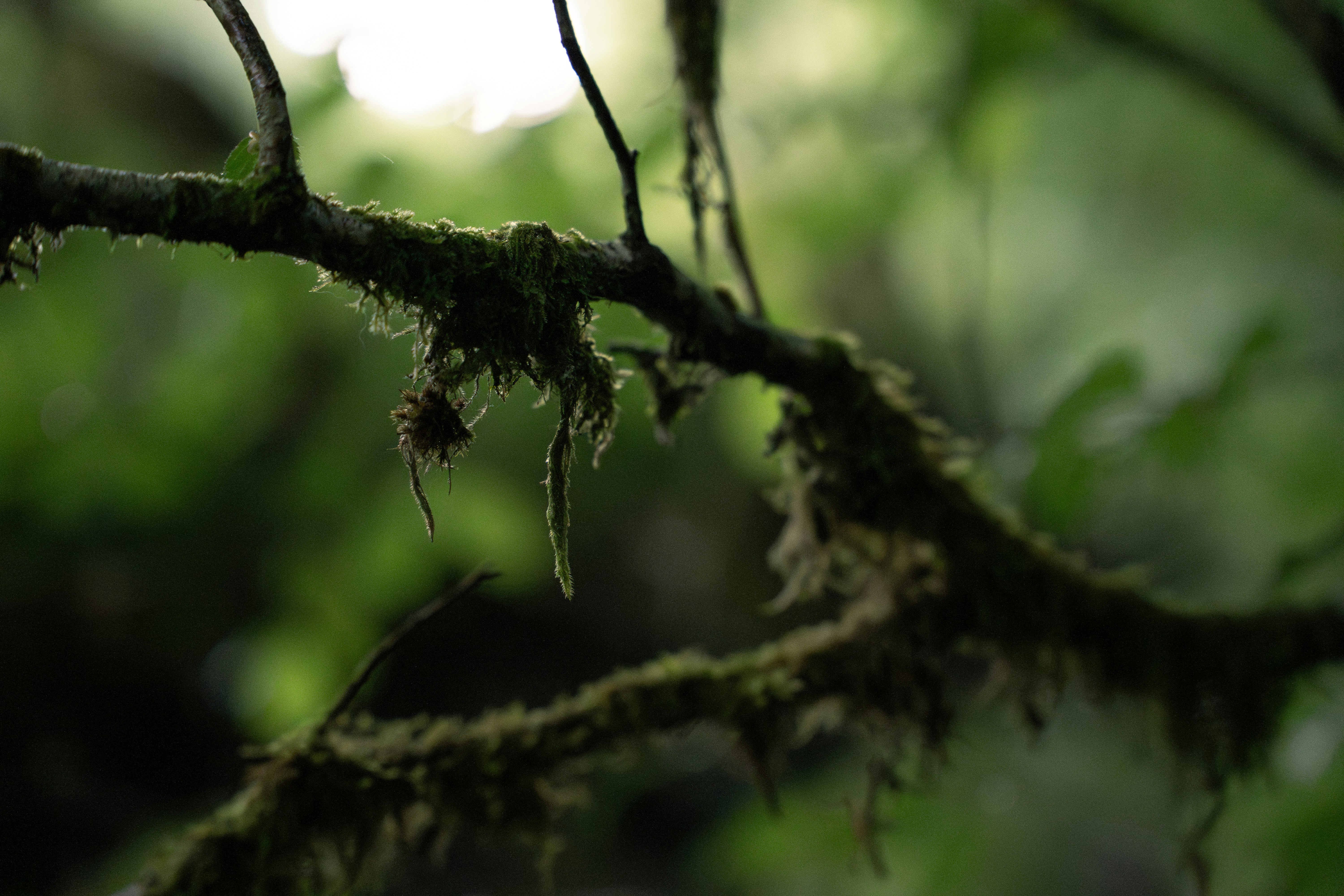 Photo by eliasderksen_photos