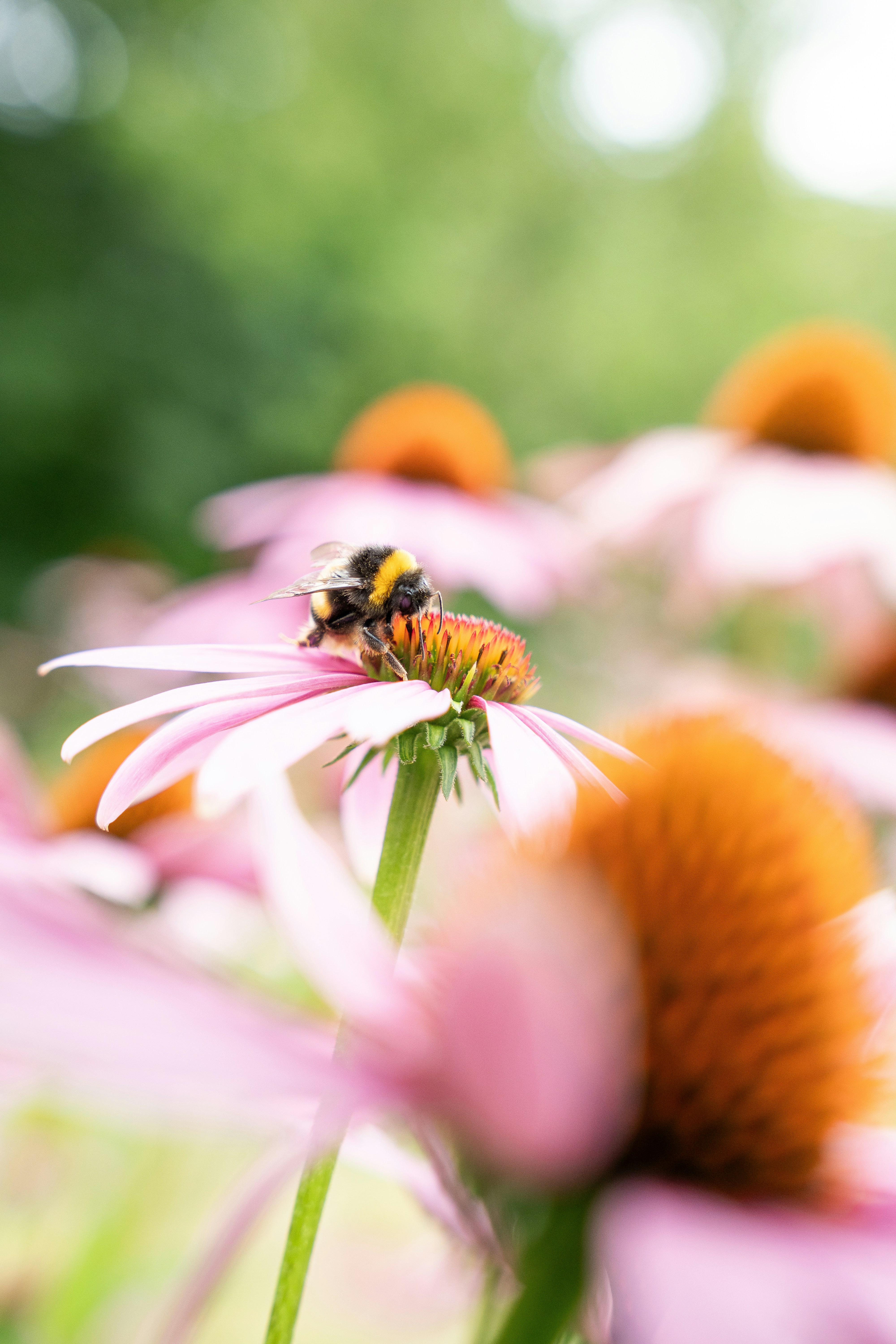 Photo by eliasderksen_photos