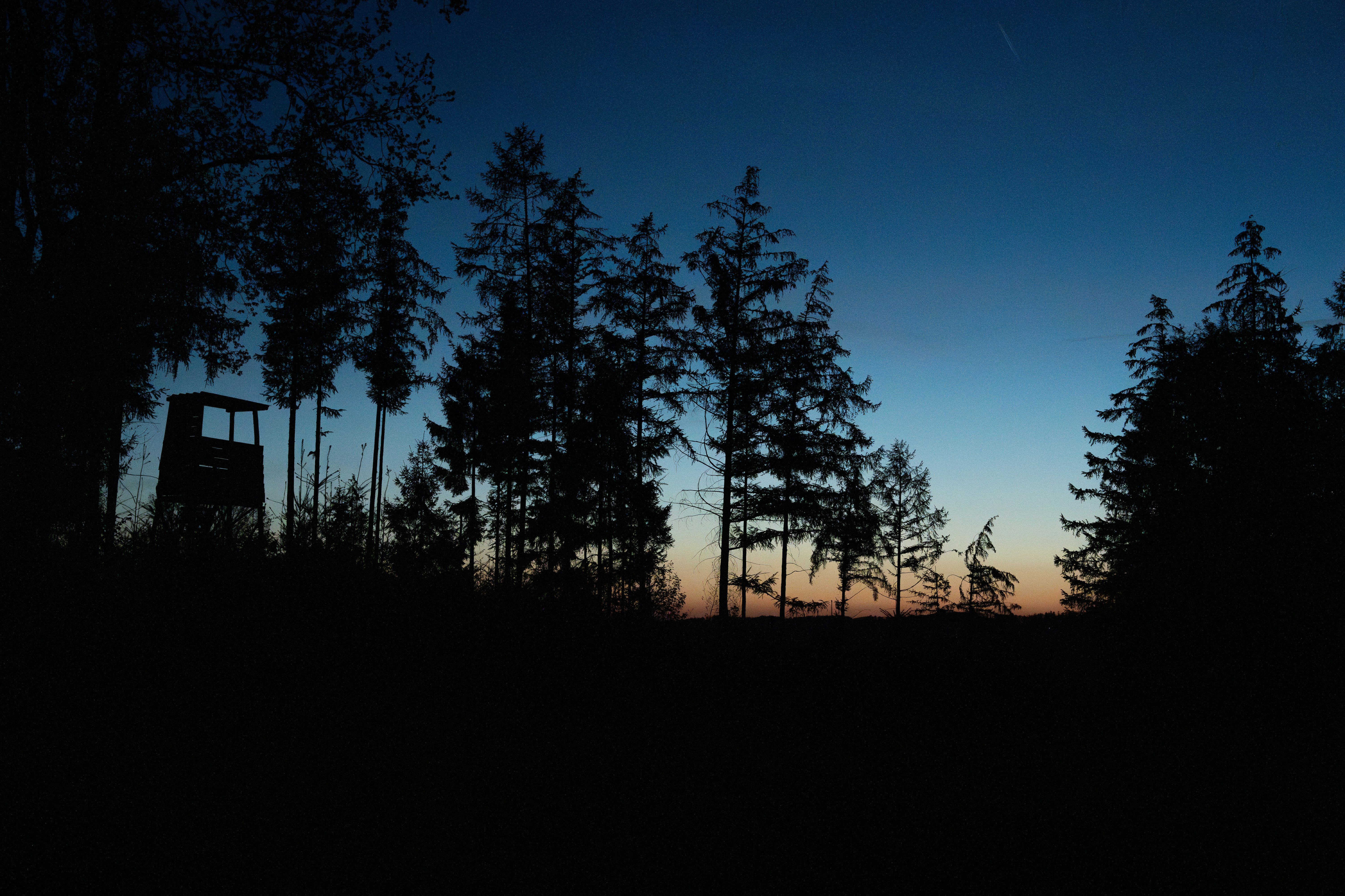 Photo by eliasderksen_photos