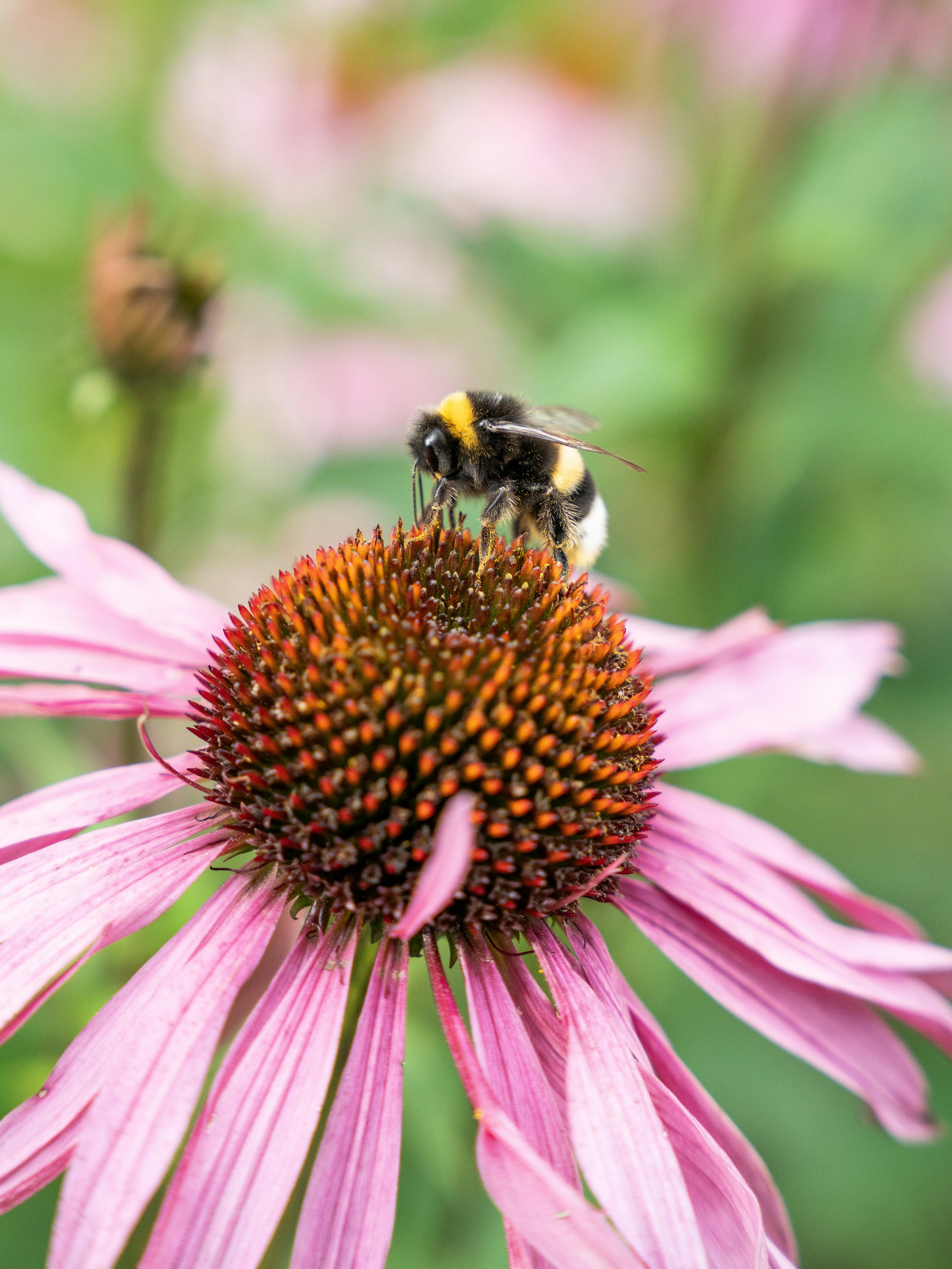 Photo by eliasderksen_photos