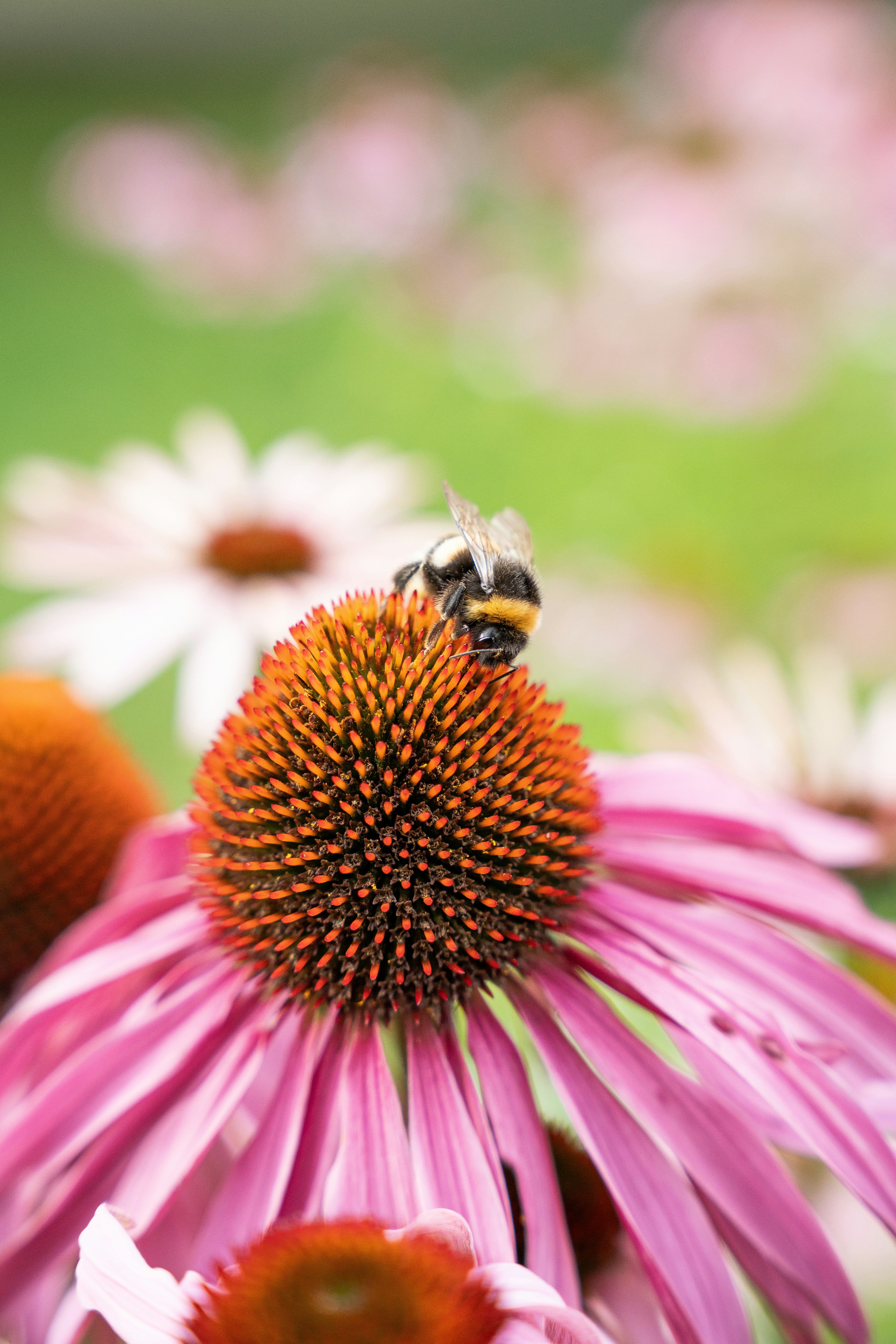 Photo by eliasderksen_photos