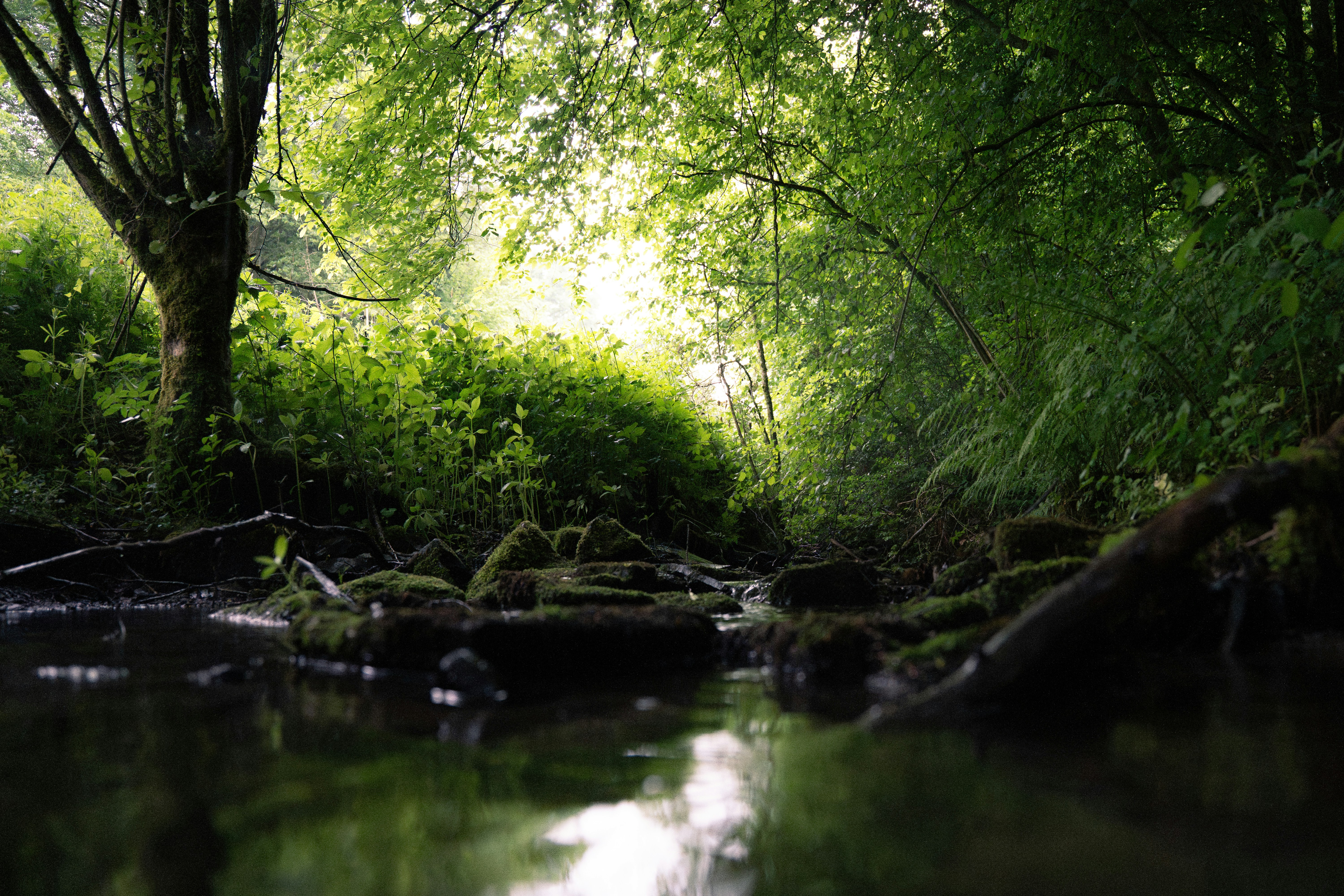 Photo by eliasderksen_photos