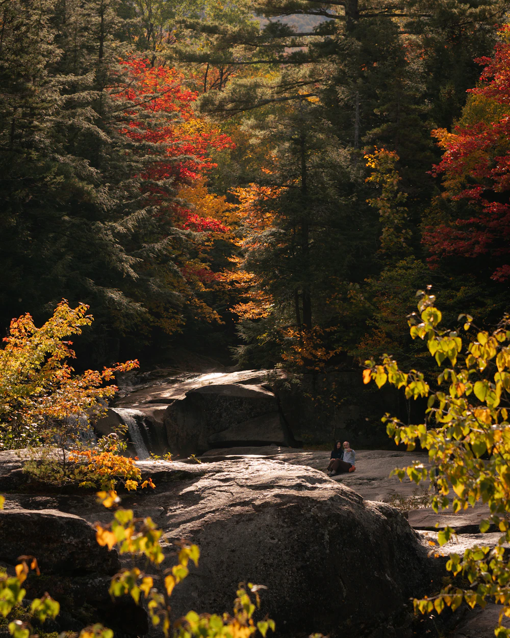 Autumn trees lining a rocky stream with a waterfall