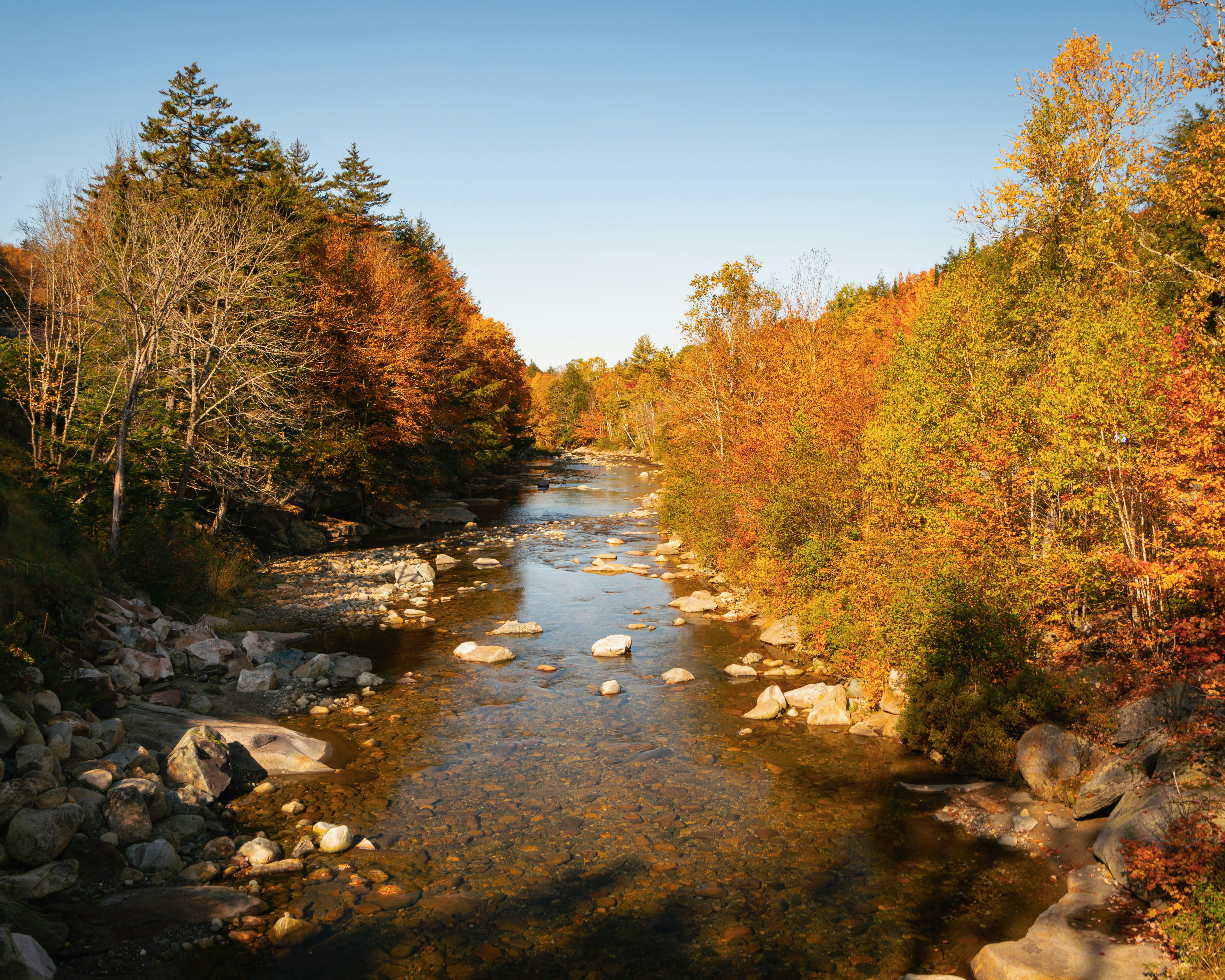 River flowing through autumn forest with colorful trees
