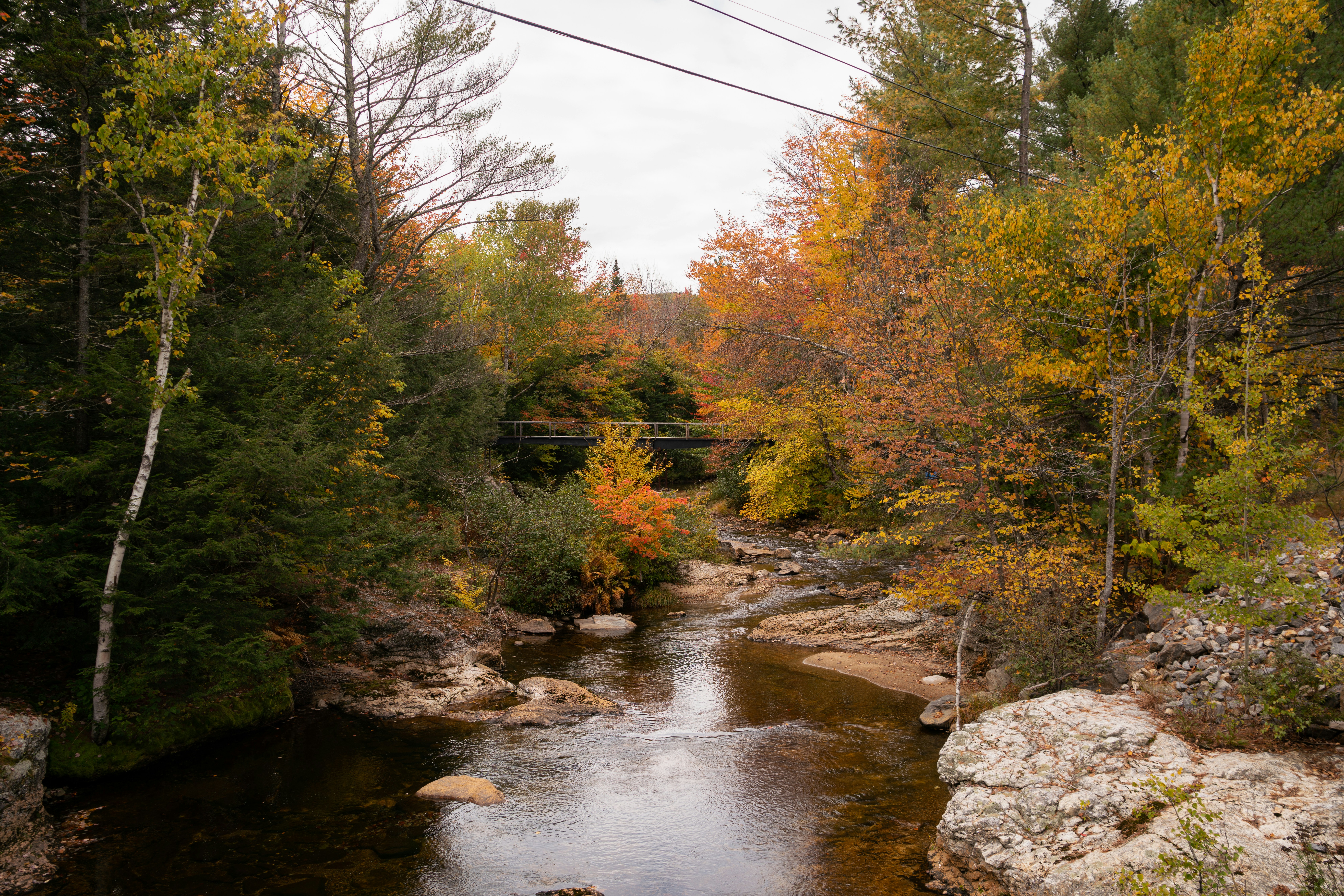 Autumn trees line a river with rocky banks