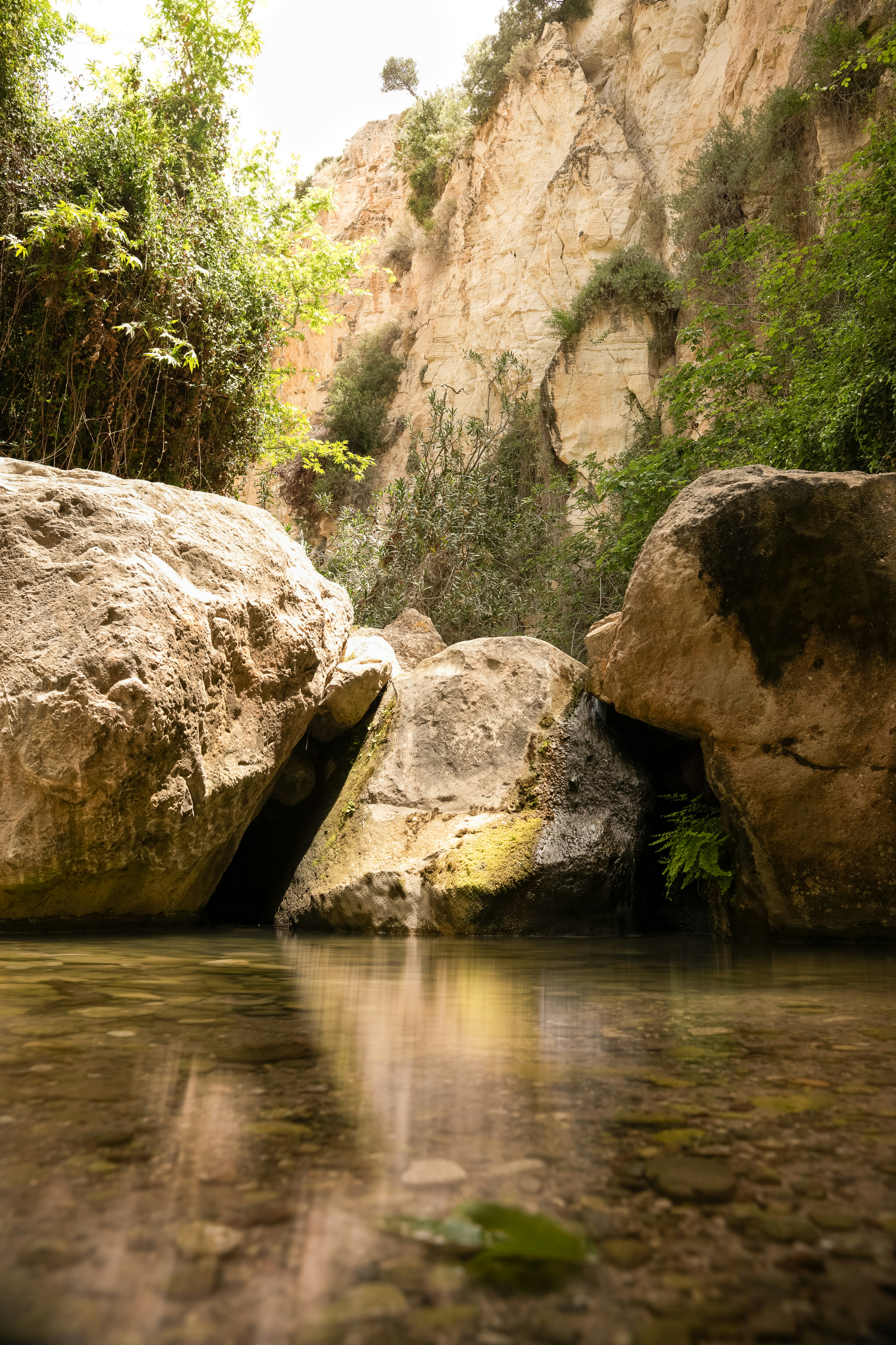 Photo by eliasderksen_photos