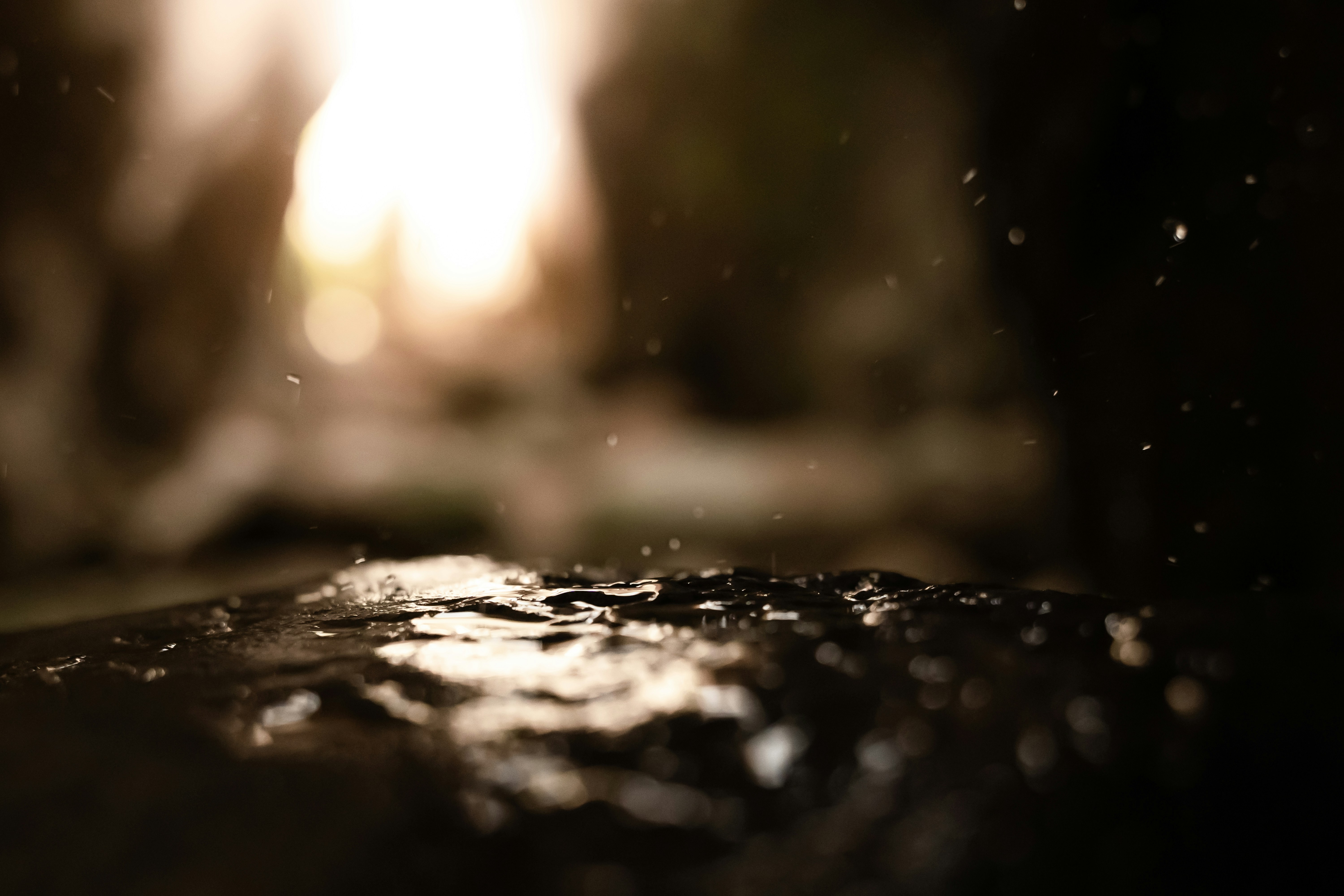 Photo by eliasderksen_photos