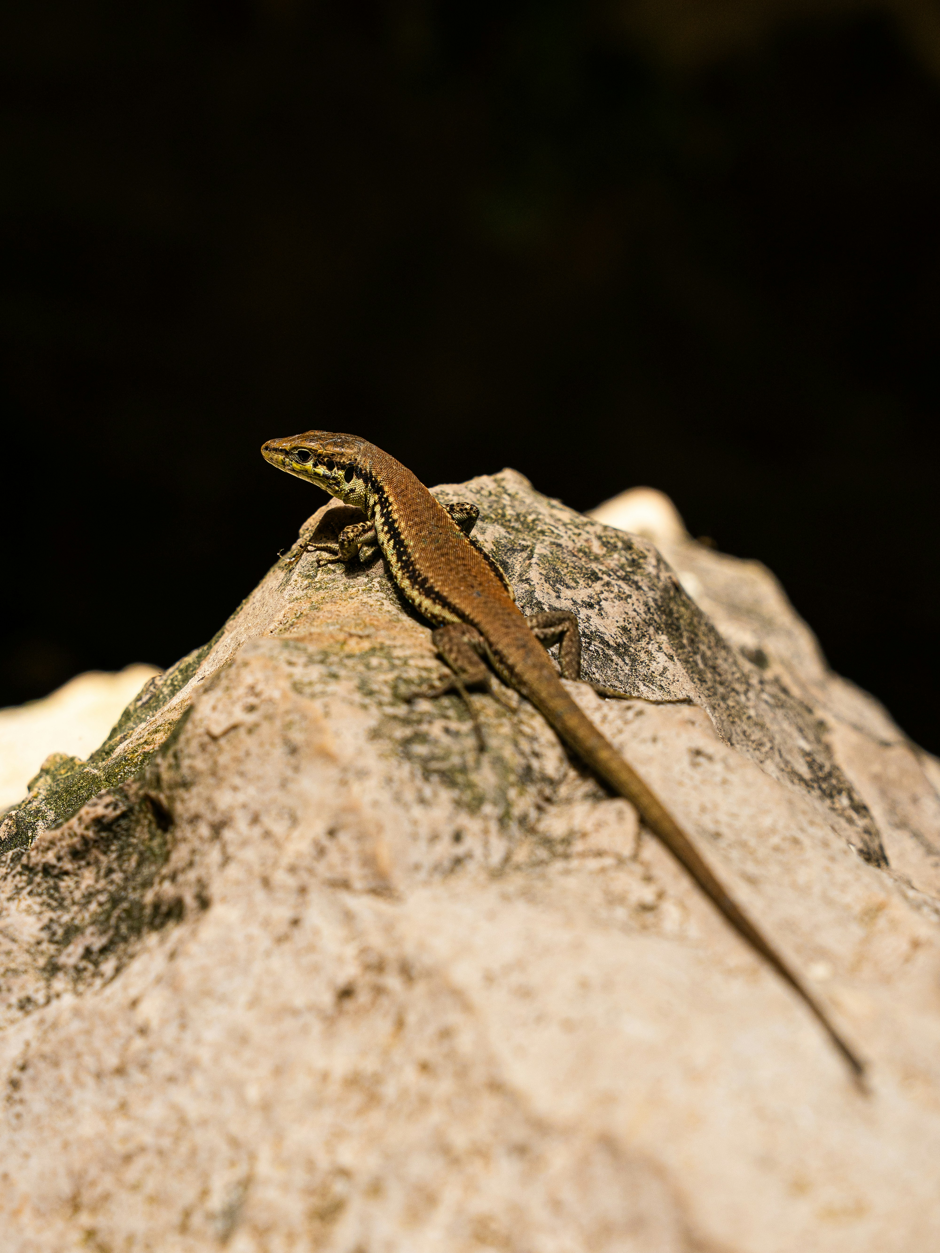 Photo by eliasderksen_photos