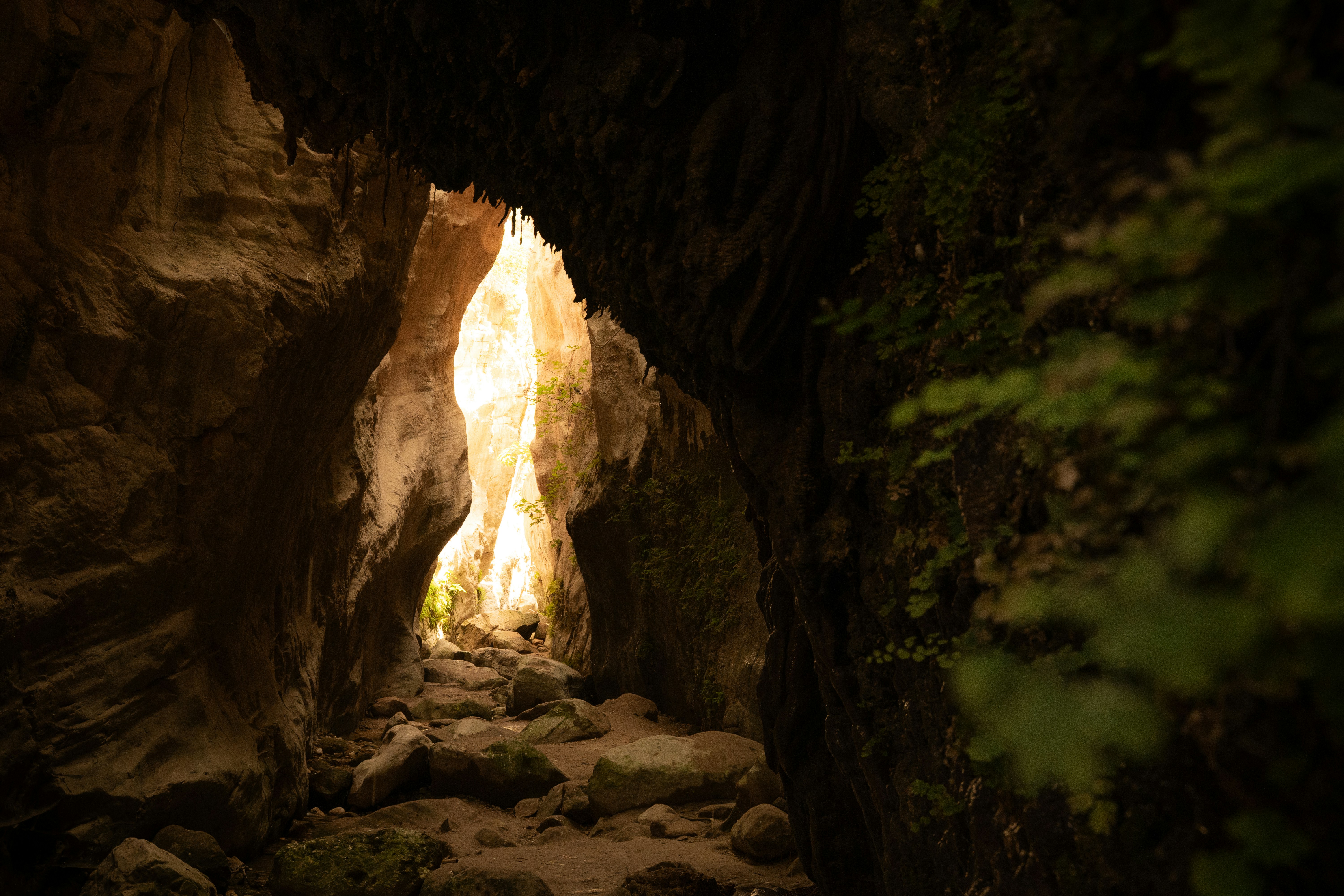 Photo by eliasderksen_photos