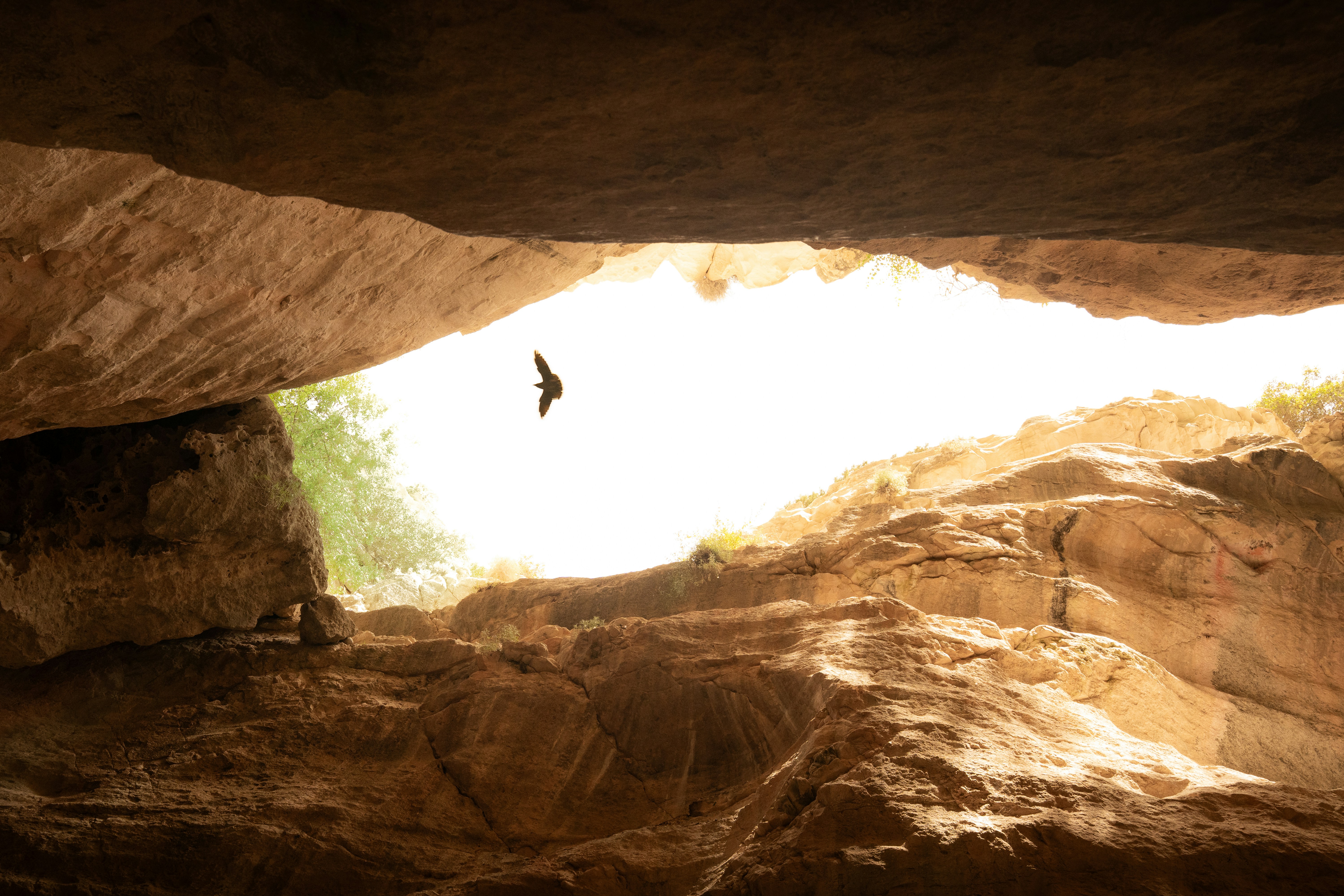 Photo by eliasderksen_photos