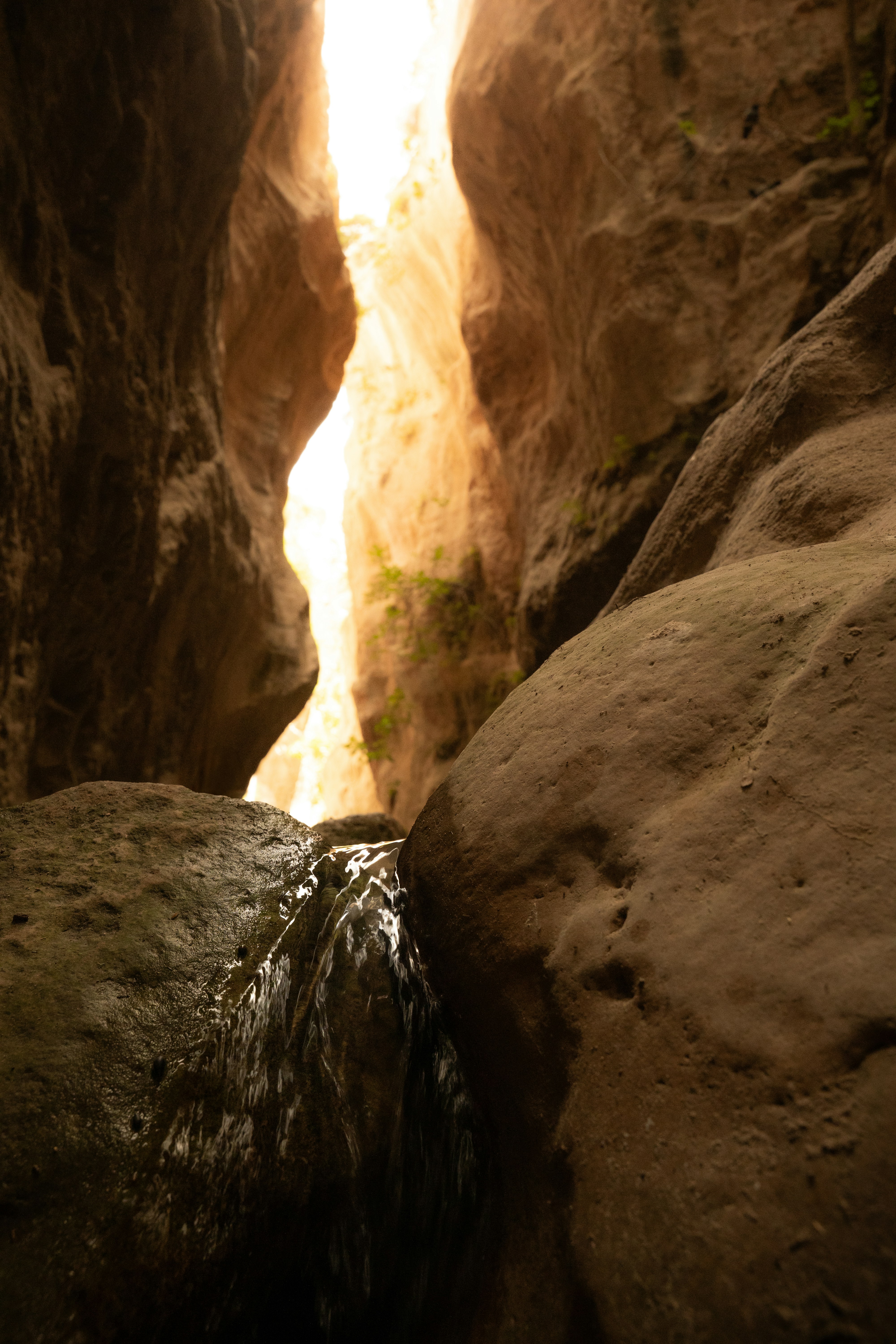 Photo by eliasderksen_photos