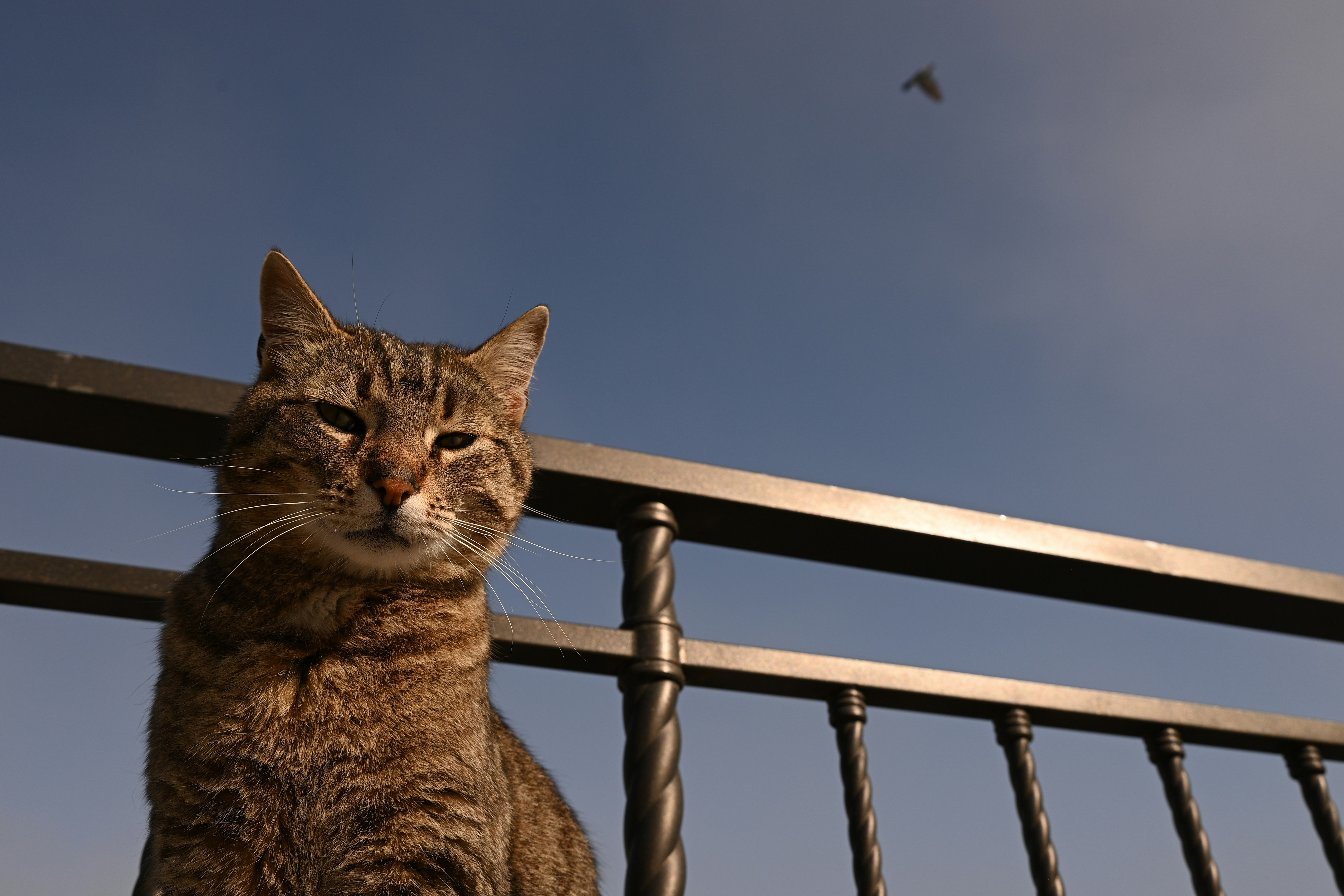 Photo by lvovandrewph