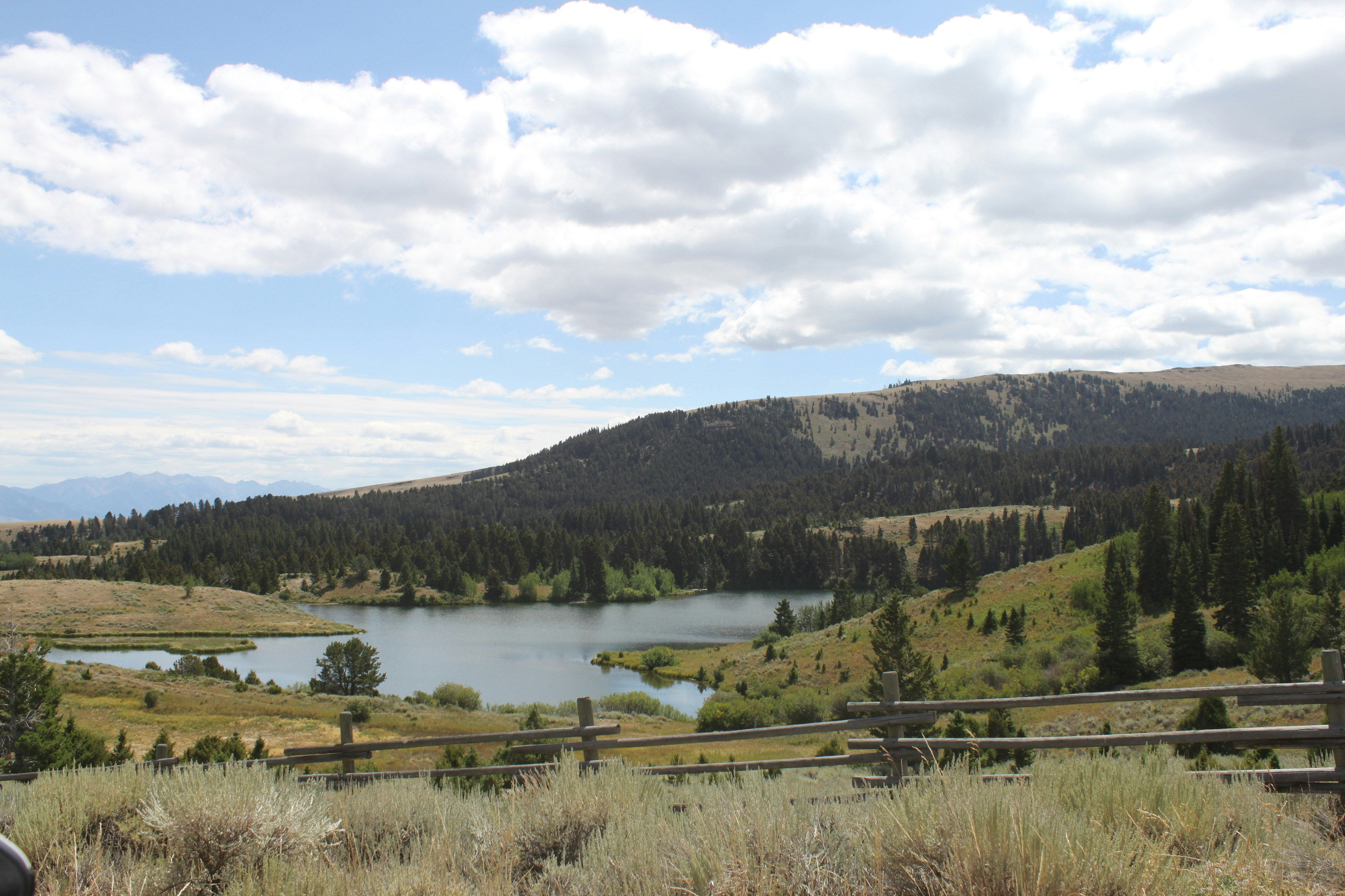 Photo by cameron_999