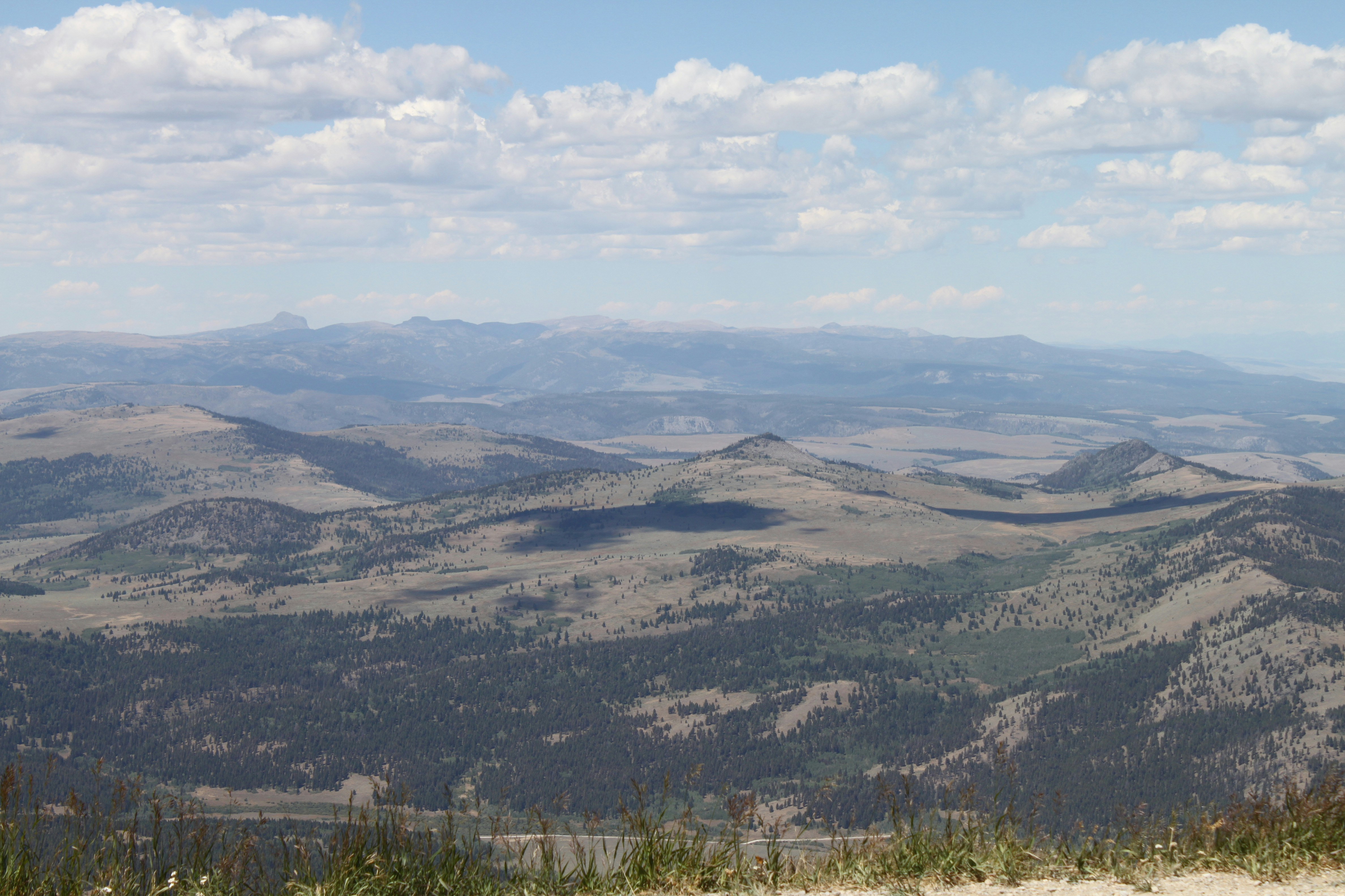 Photo by cameron_999