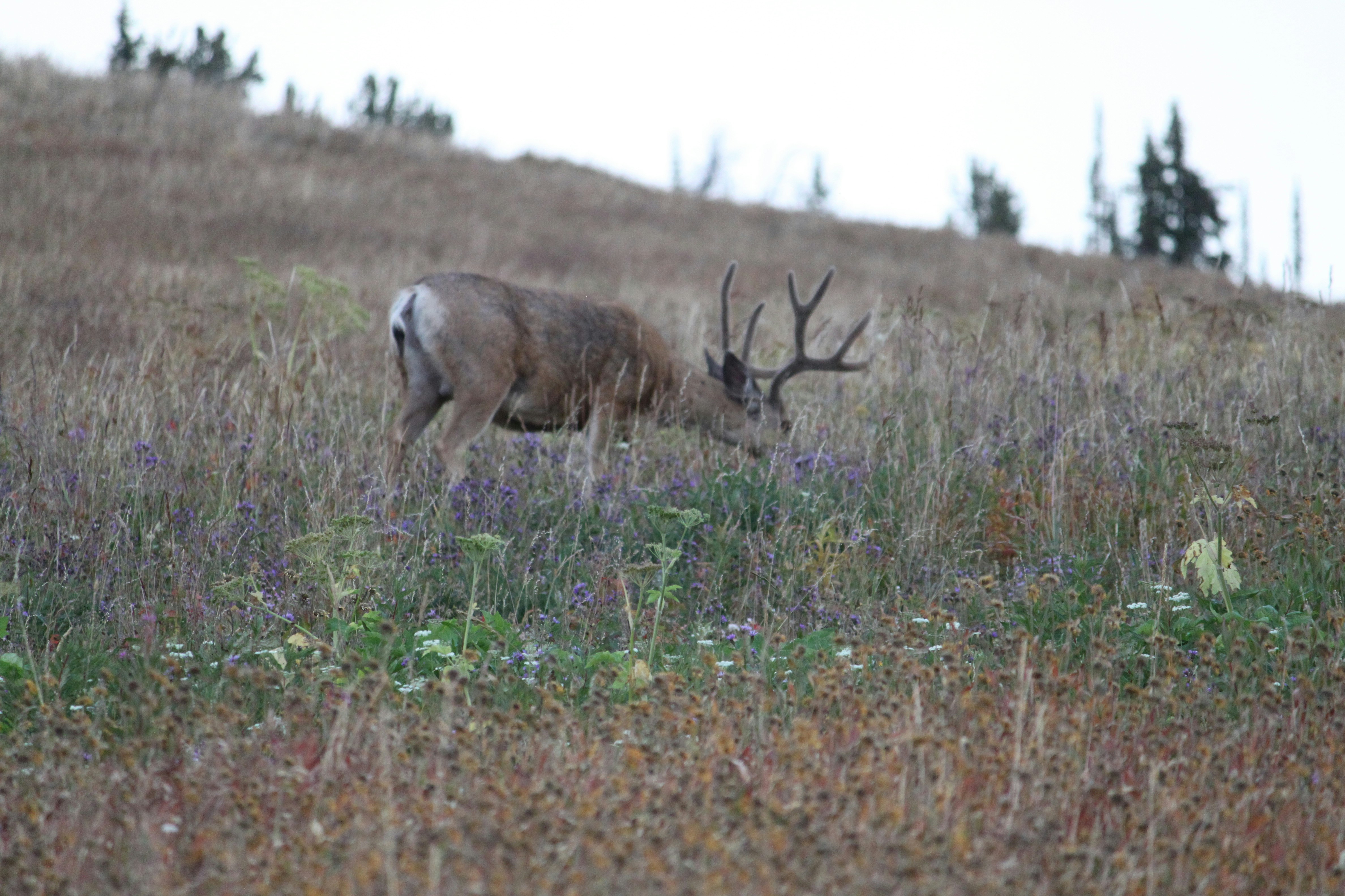 Photo by cameron_999