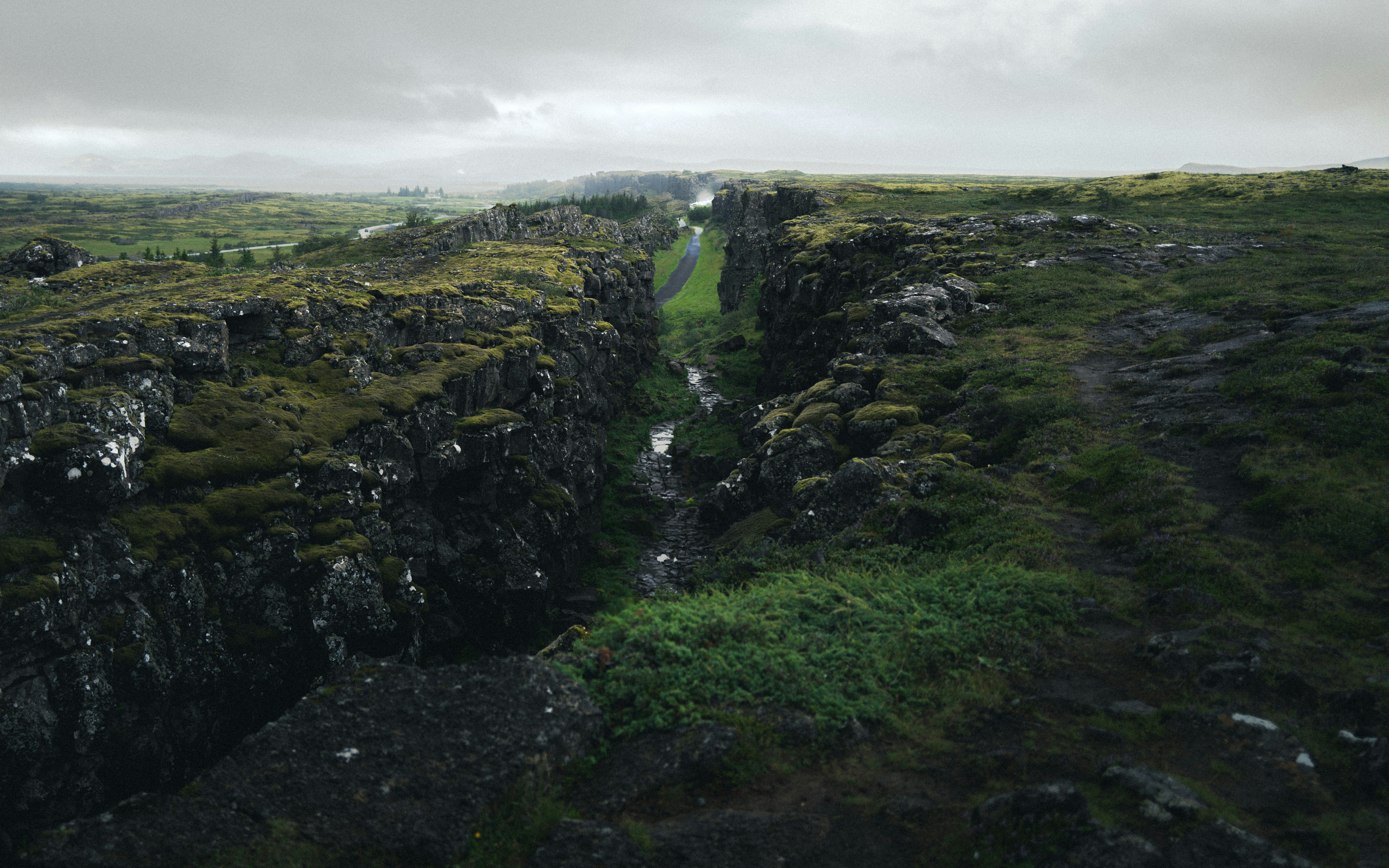 A deep fissure in a mossy, grassy landscape