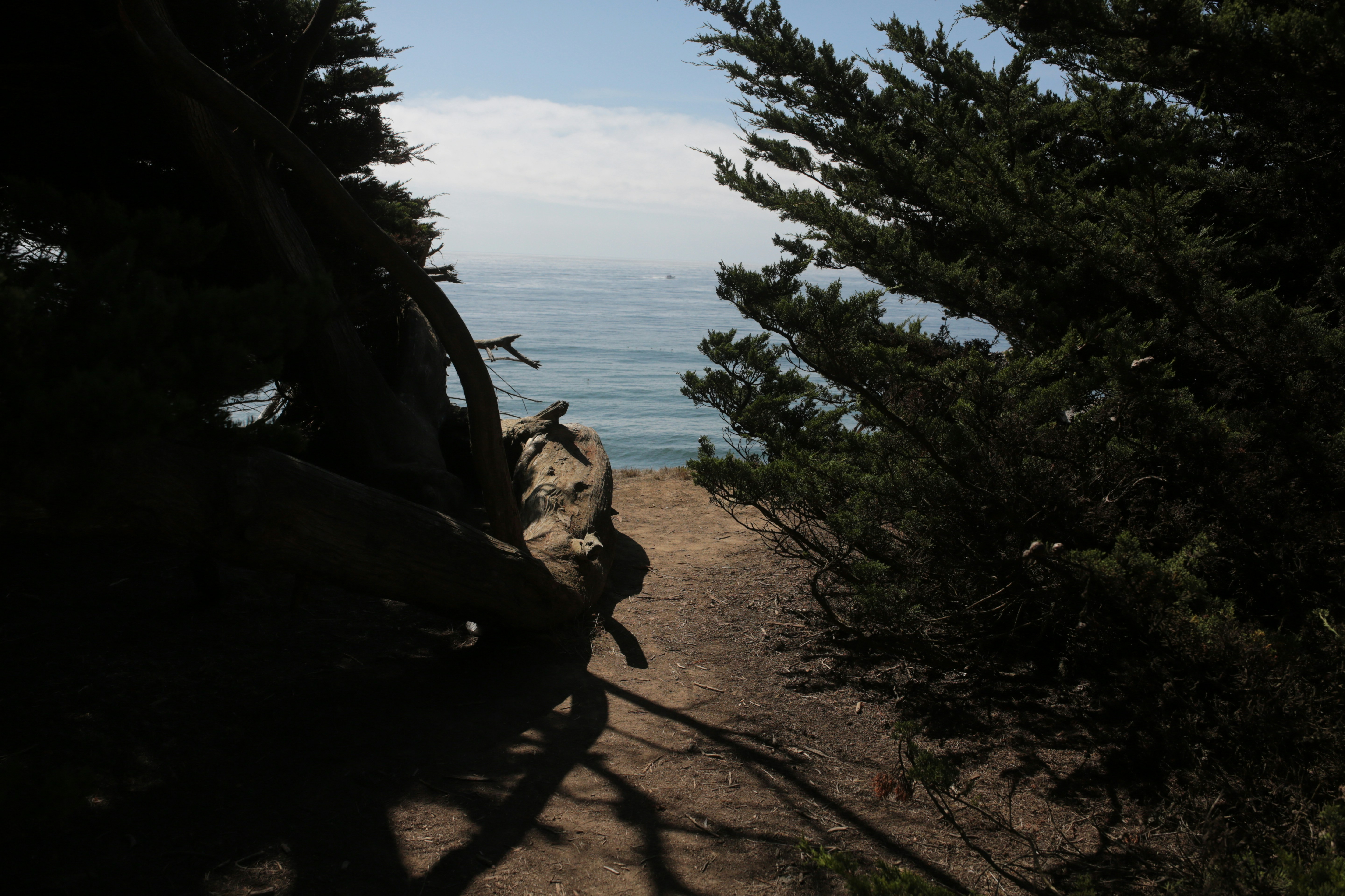 Photo by sthomanns