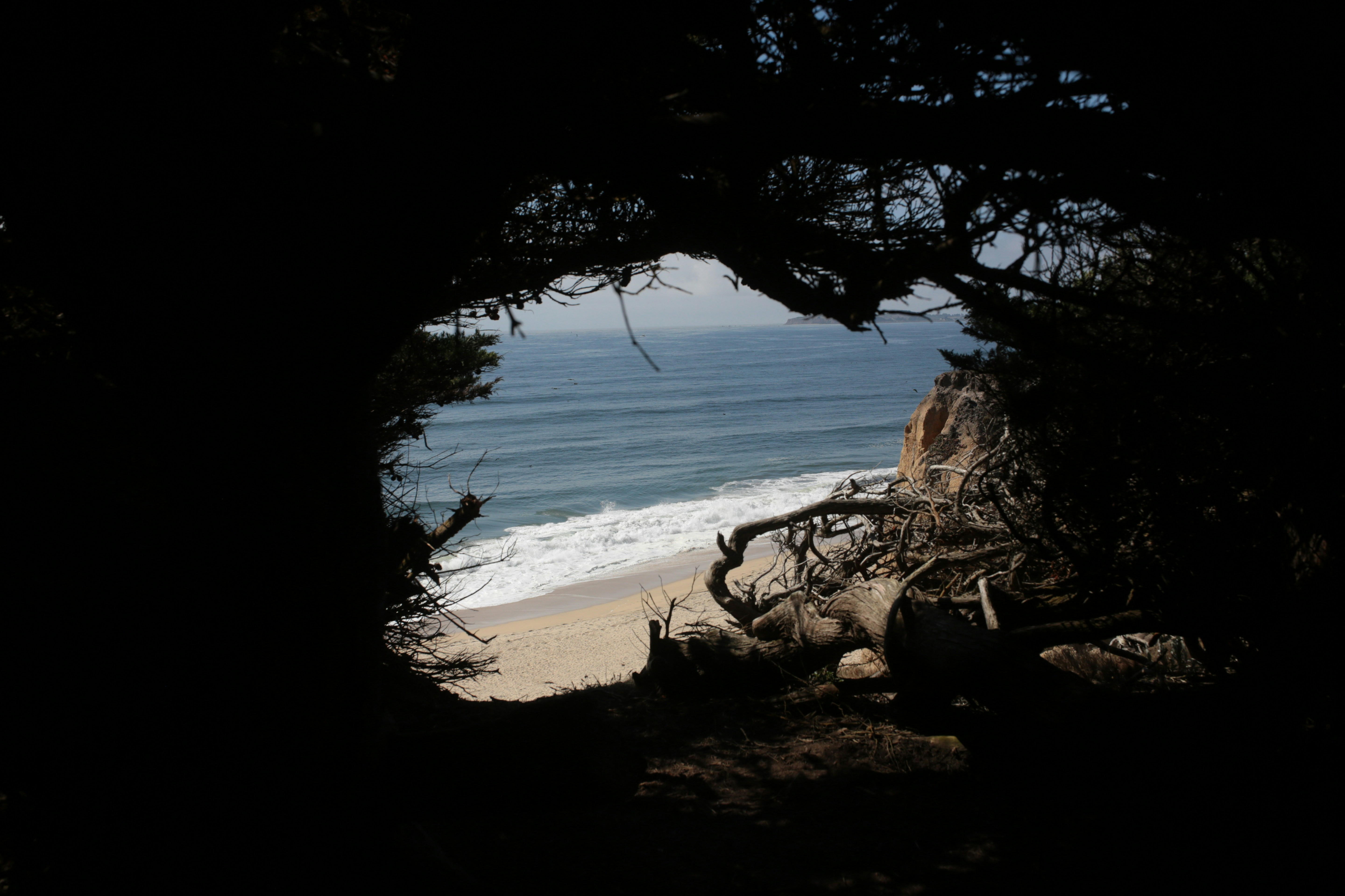 Photo by sthomanns