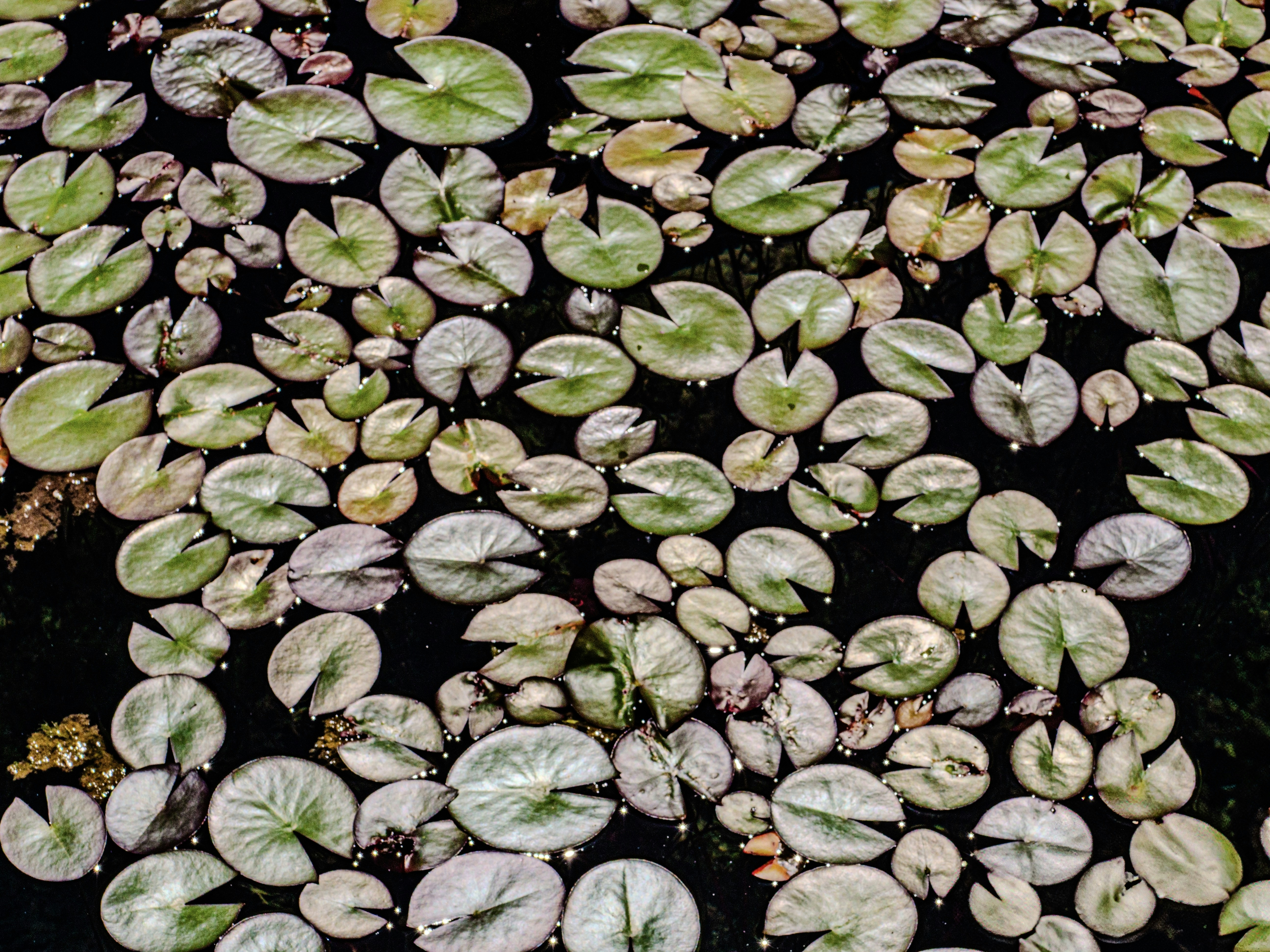 Photo by sschusterphotoart