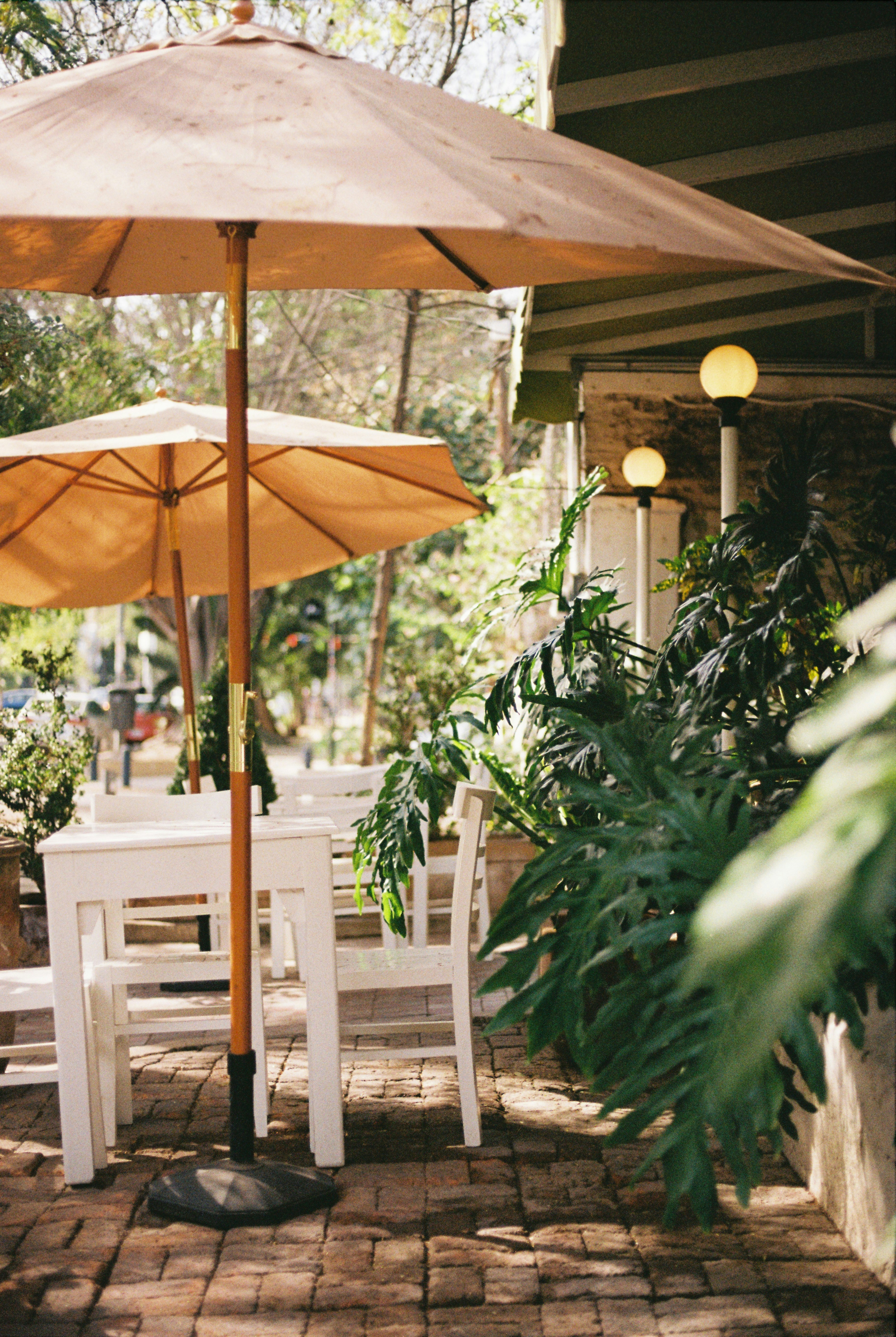 Photo by miguelheezg