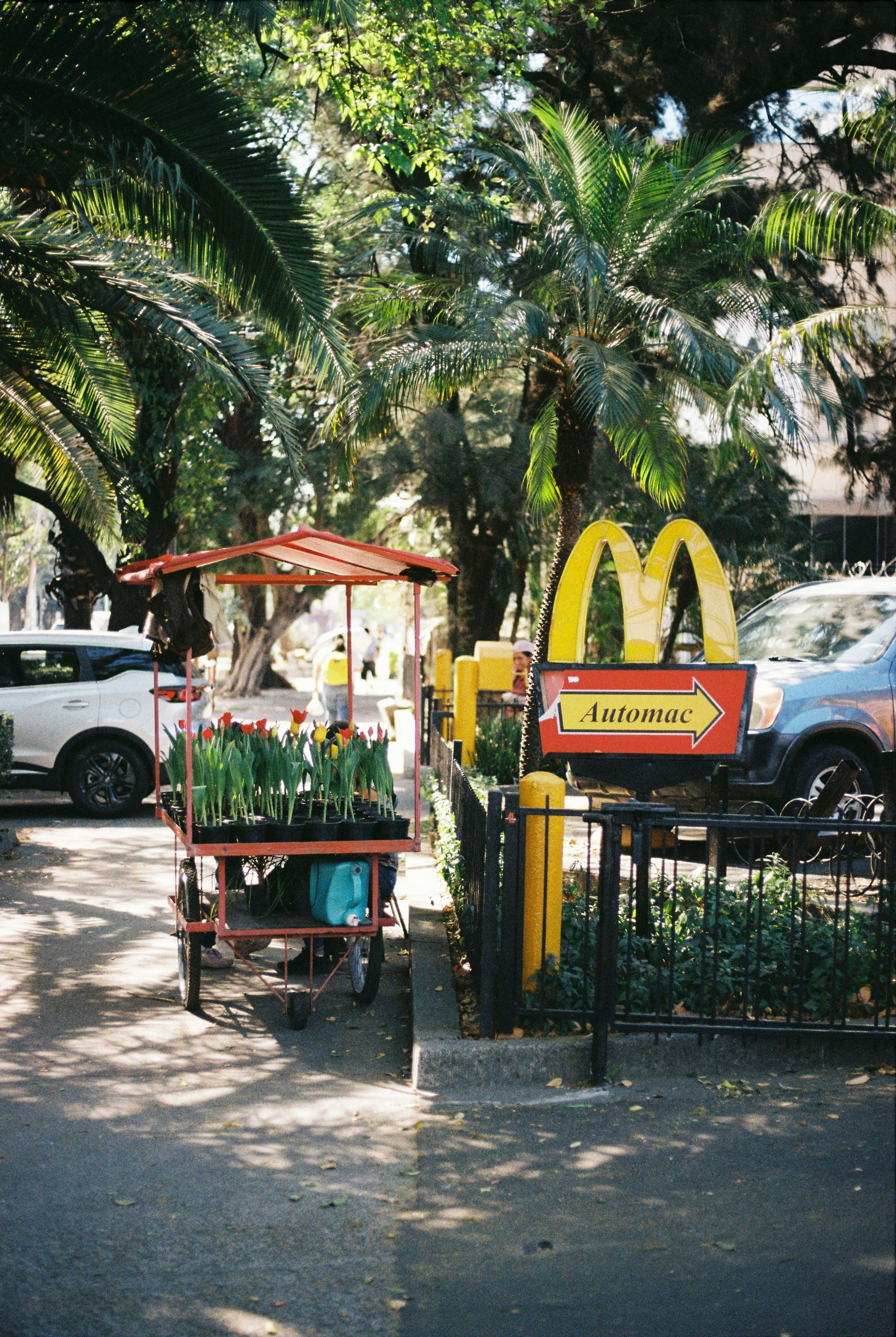 Flower cart next to mcdonald's automac sign