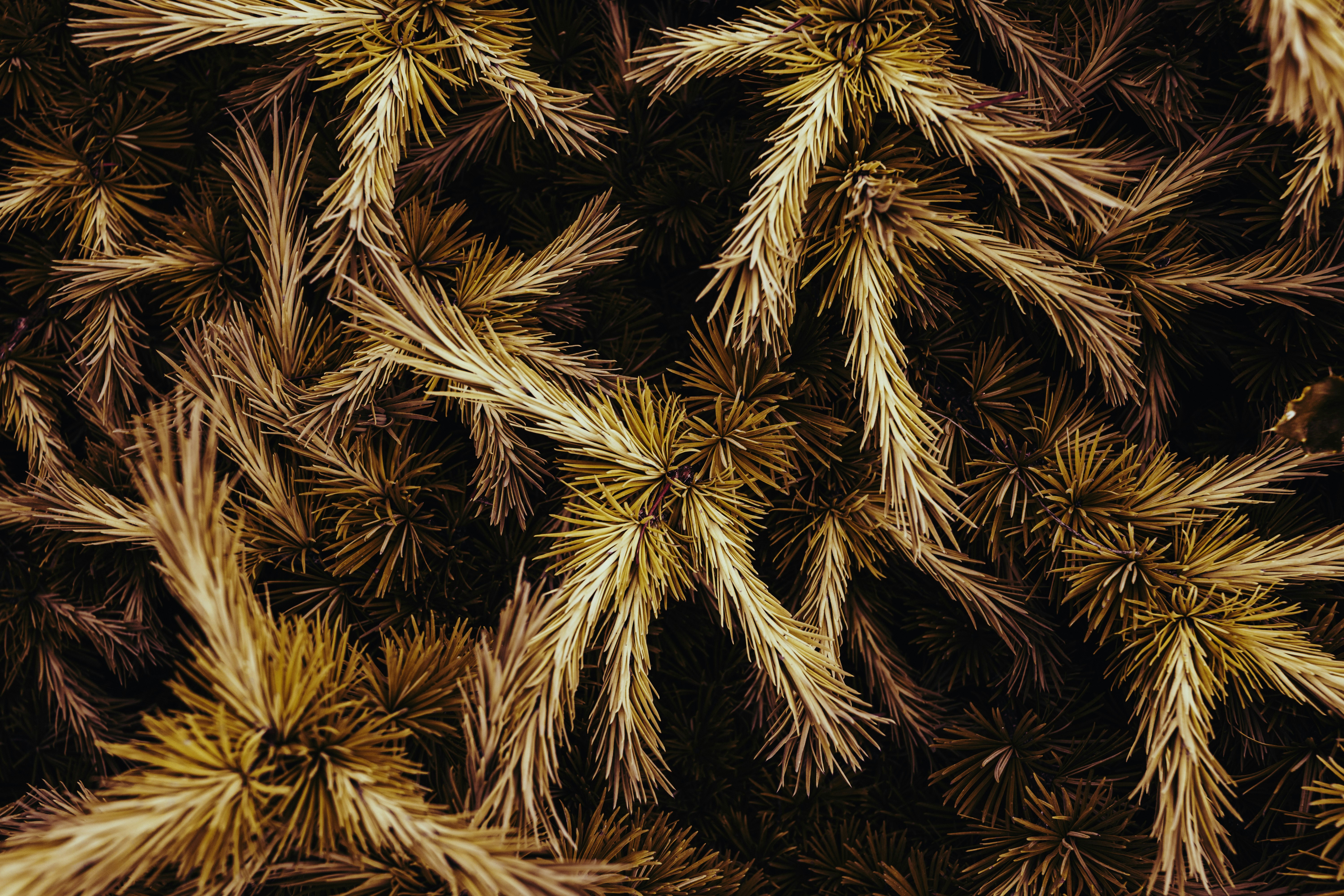 Keep Your LASIK Healing Progressing Efficiently With Surprising Dietary Selections, Practices, And Hygiene Referrals That Can Transform Your Recovery-- Find What You Have Not Yet Recognized!