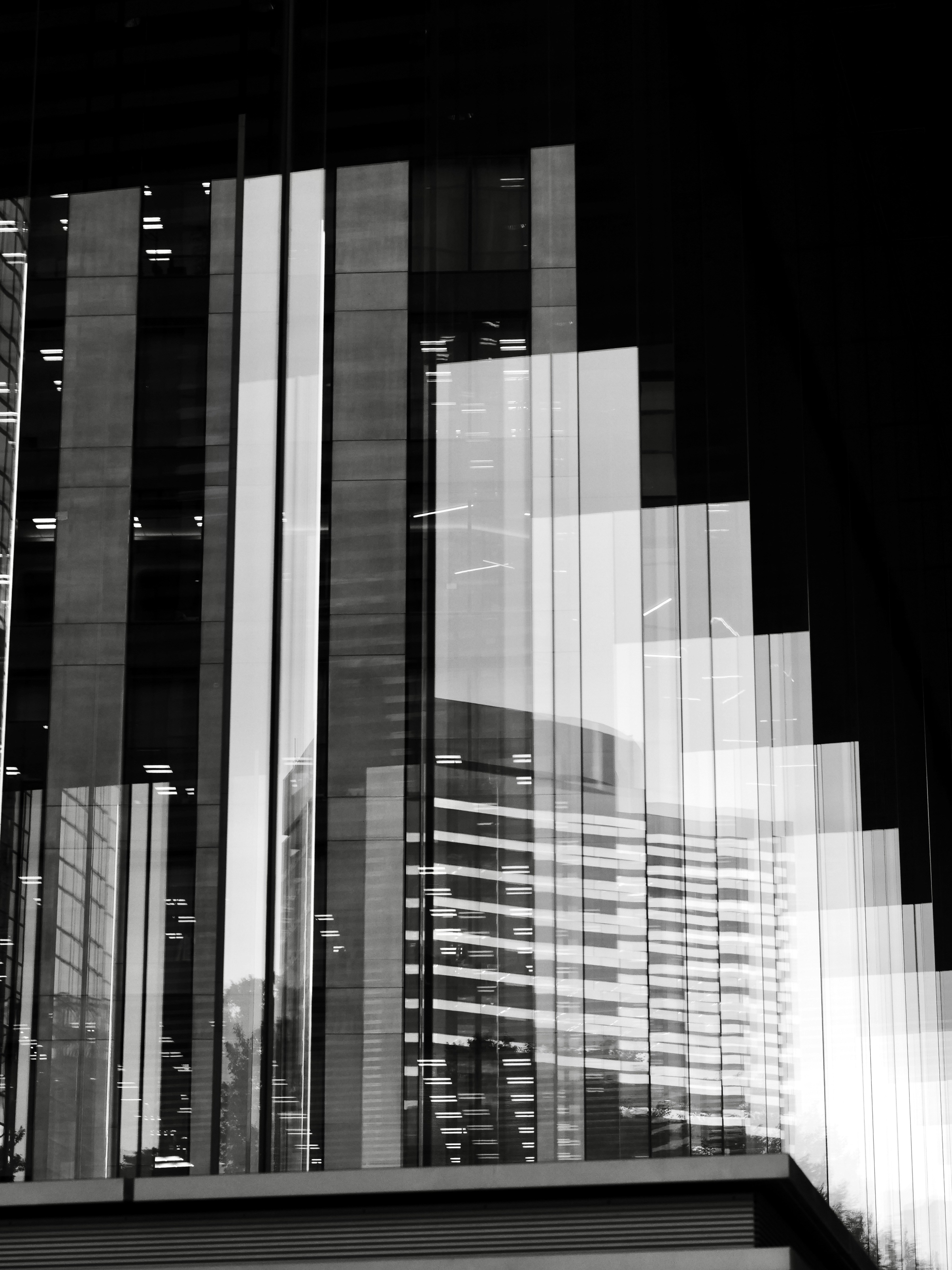 Photo by sschusterphotoart