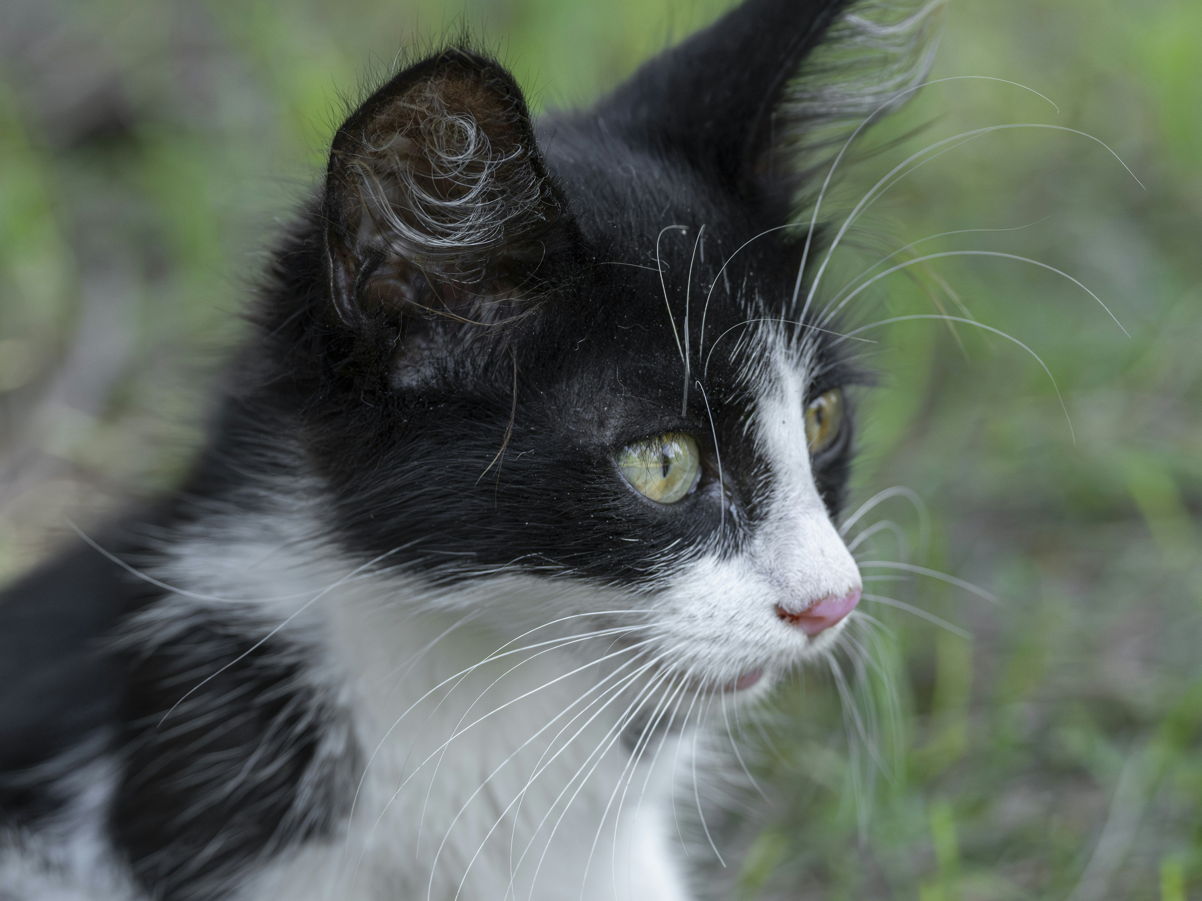 Photo by enginakyurt