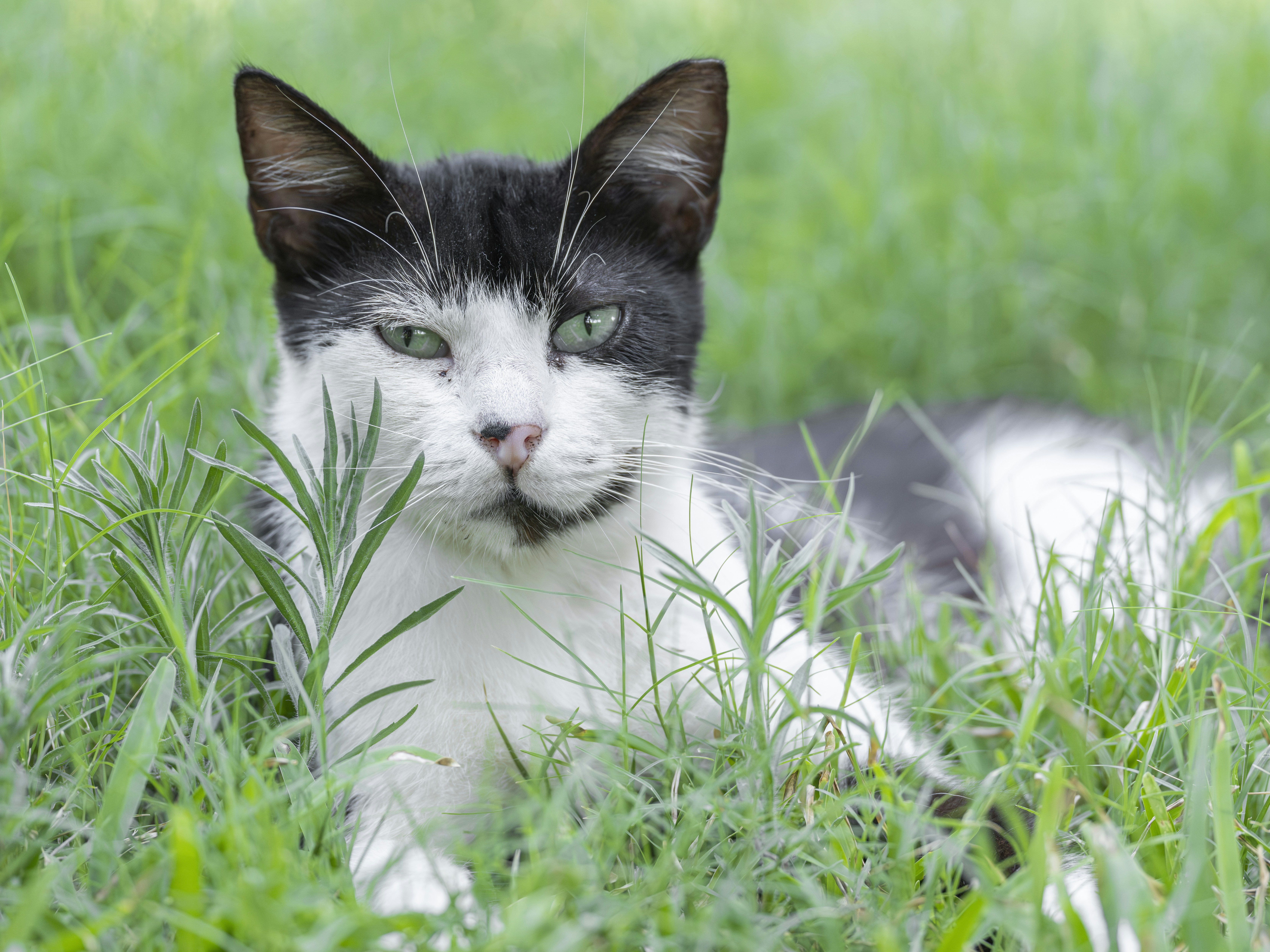 Photo by enginakyurt