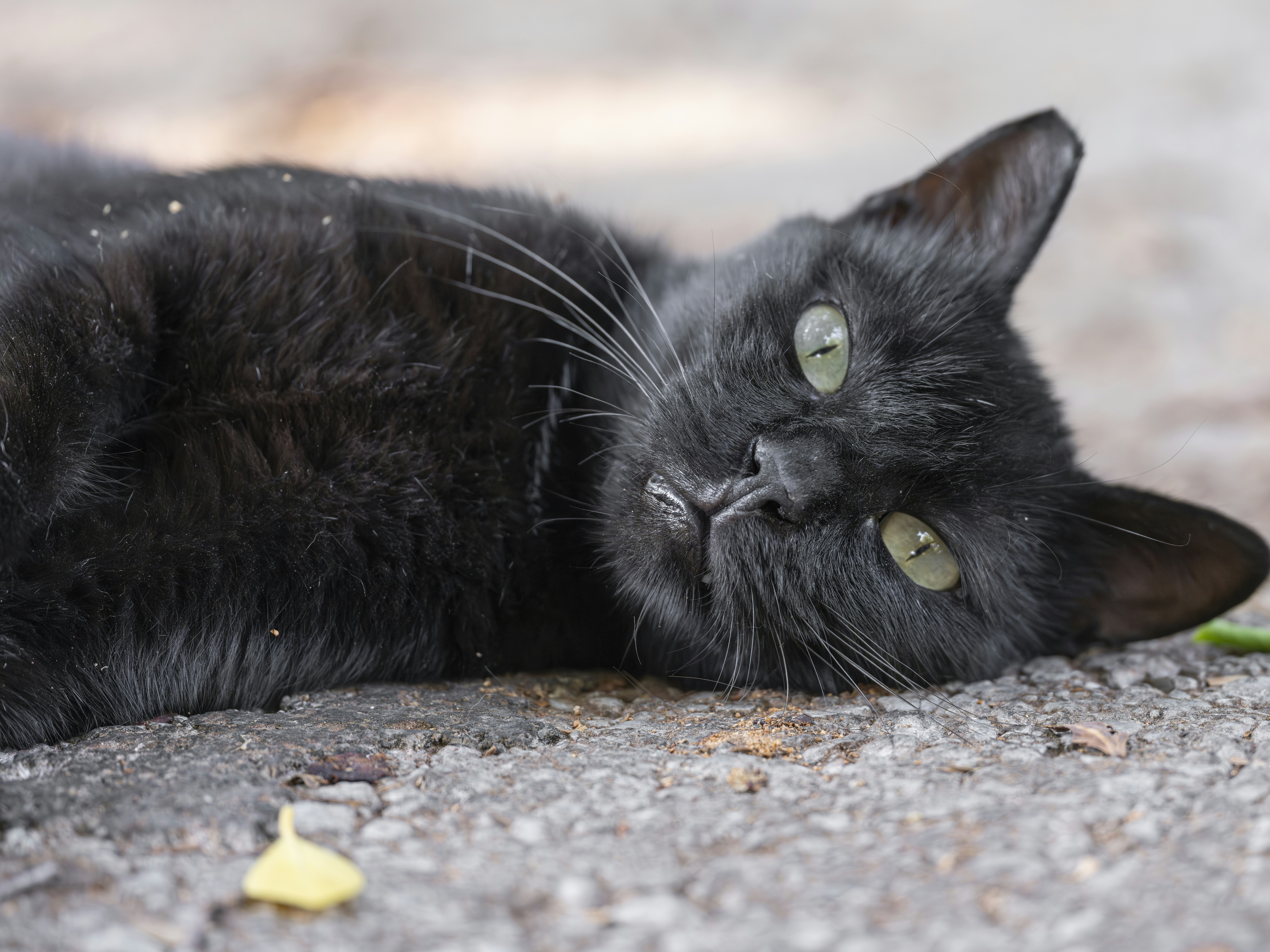 Photo by enginakyurt