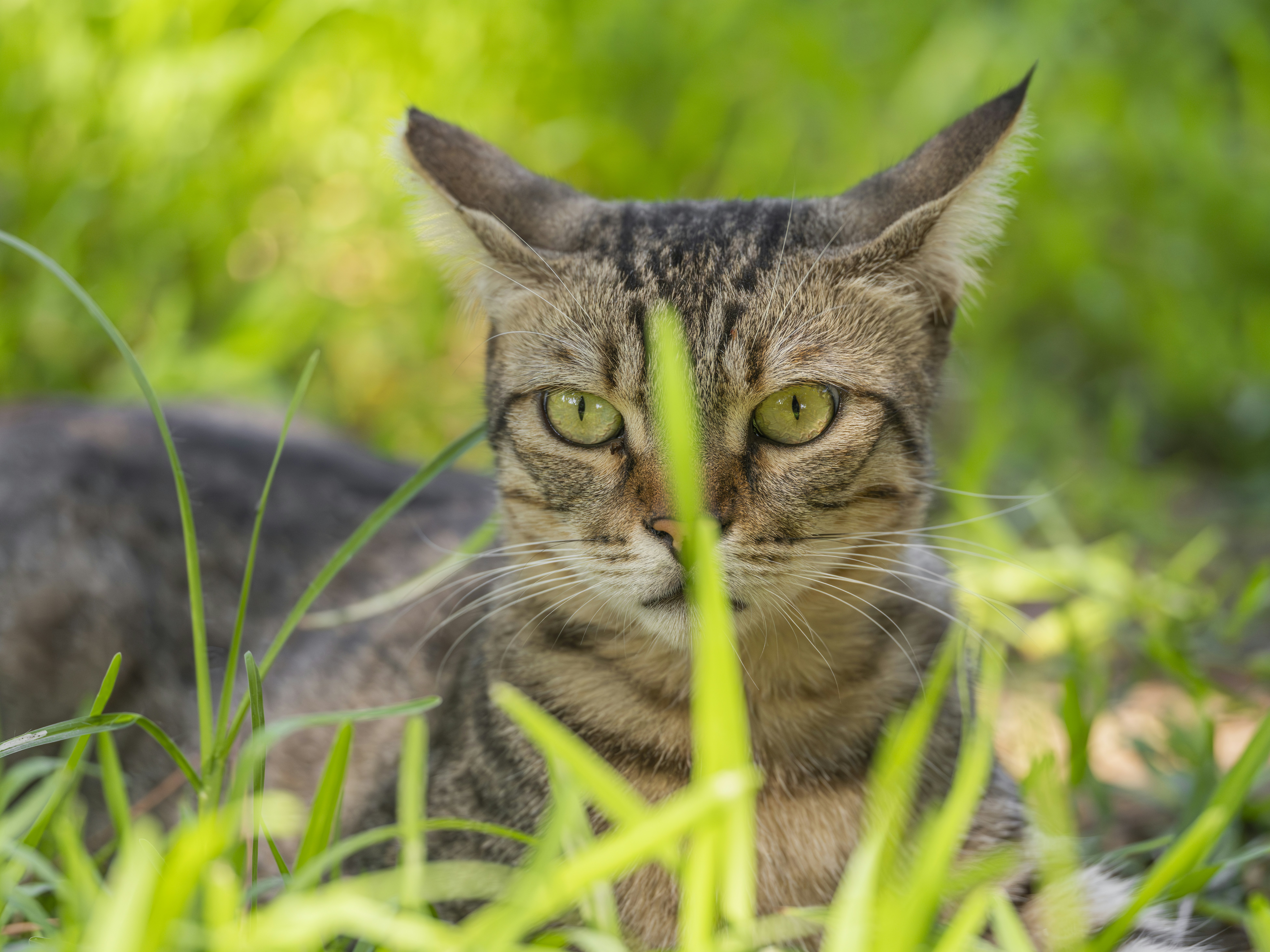 Photo by enginakyurt