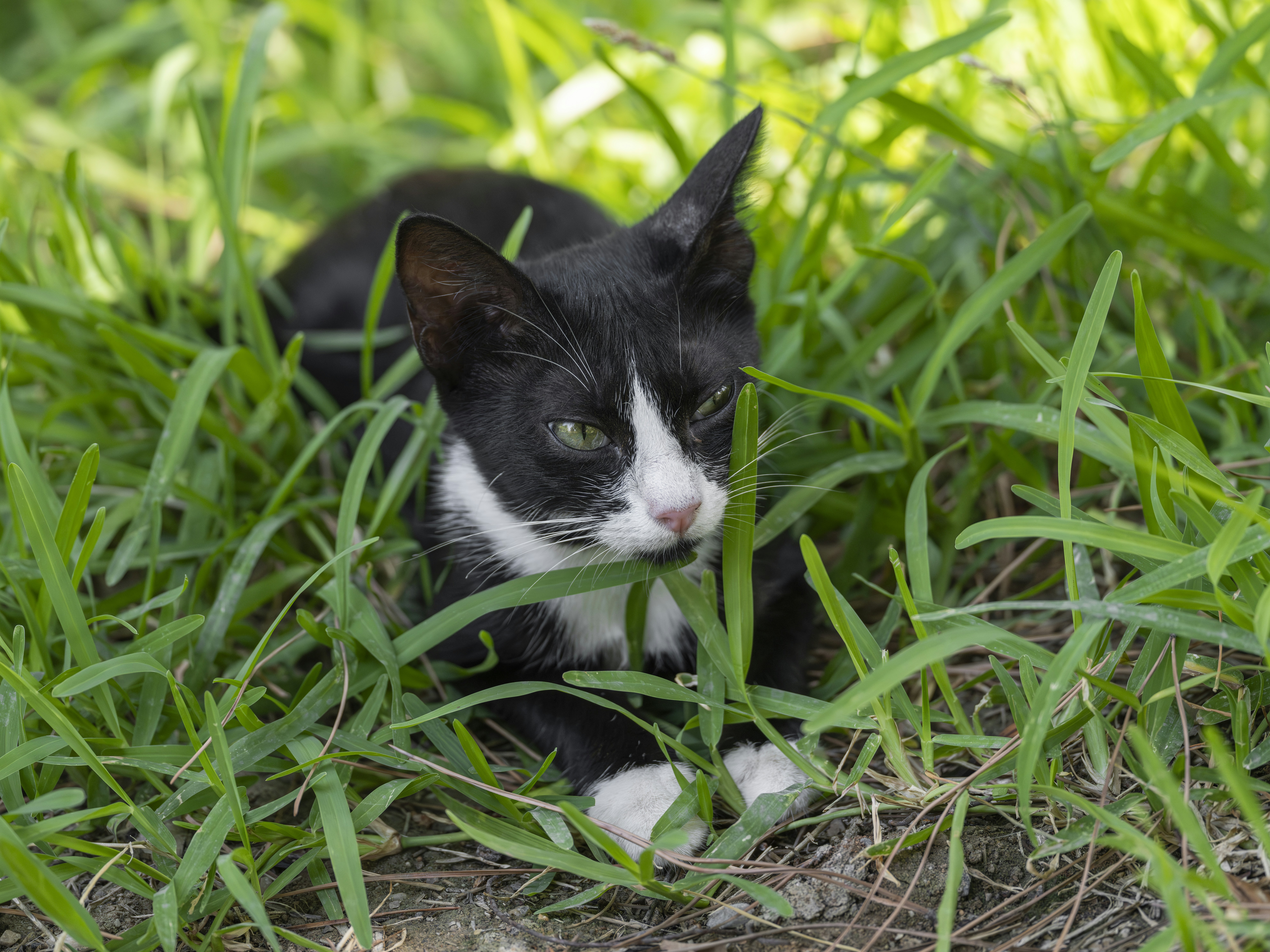 Photo by enginakyurt