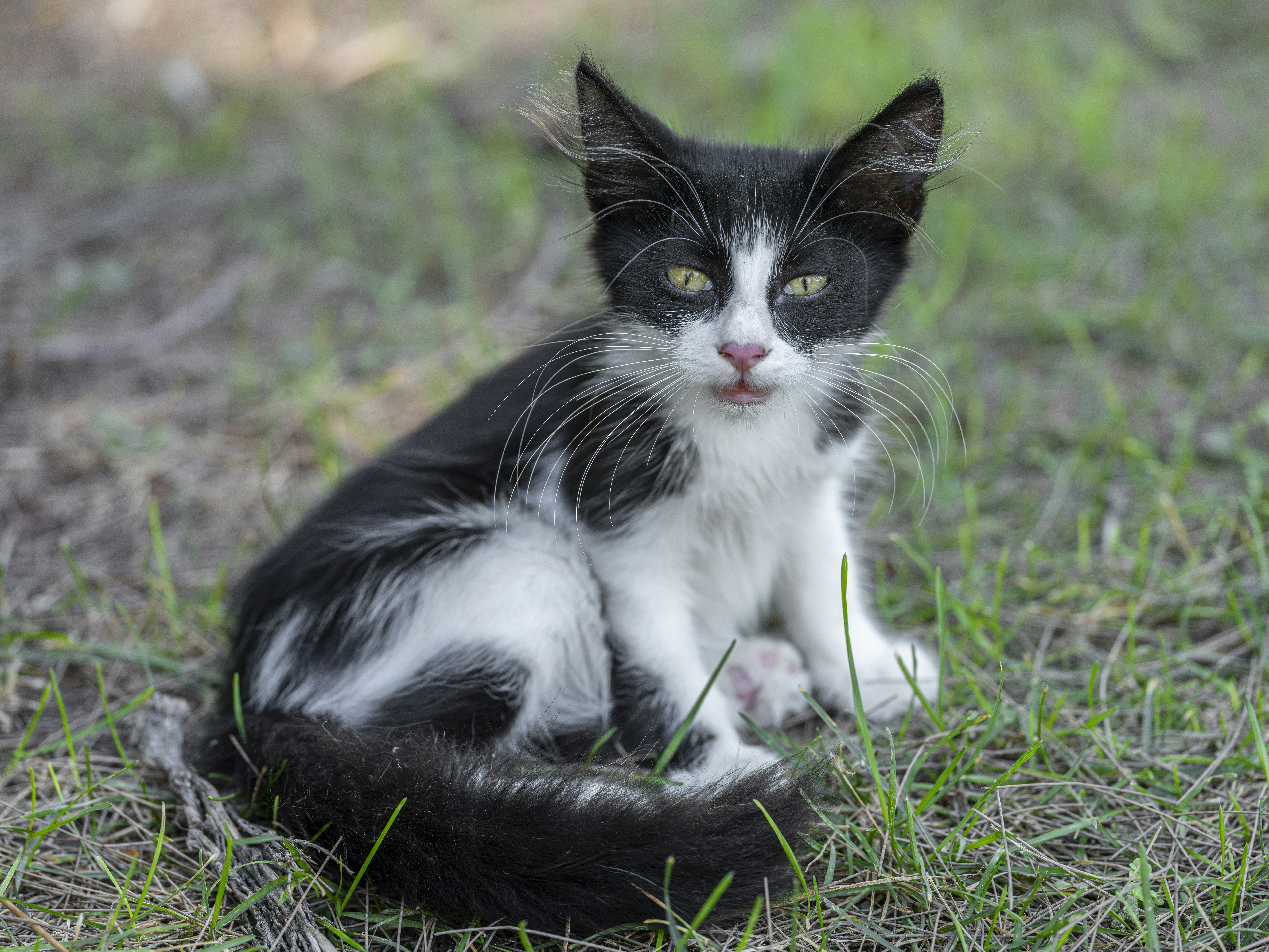 Photo by enginakyurt