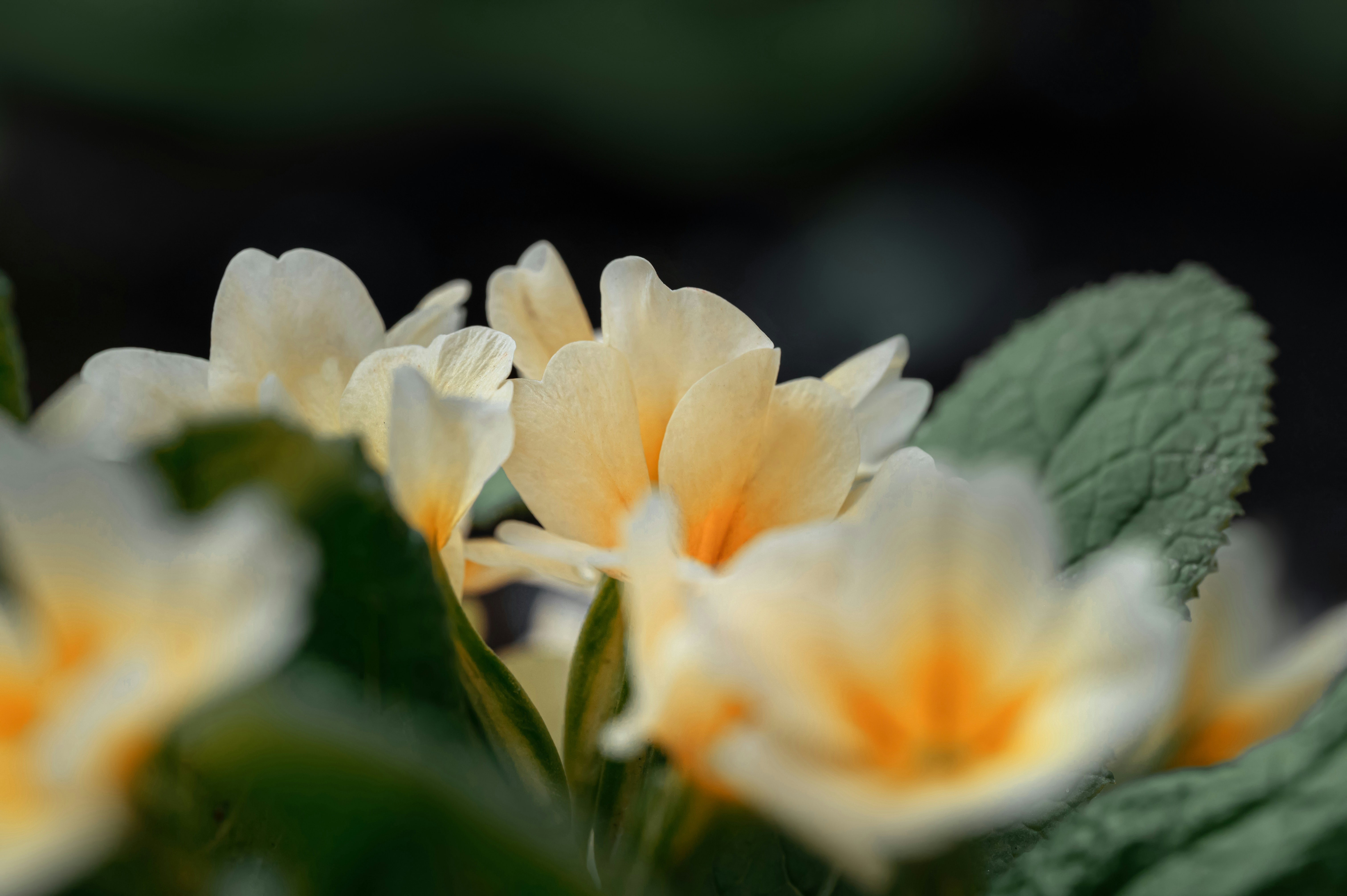 Photo by volodymyr_leush